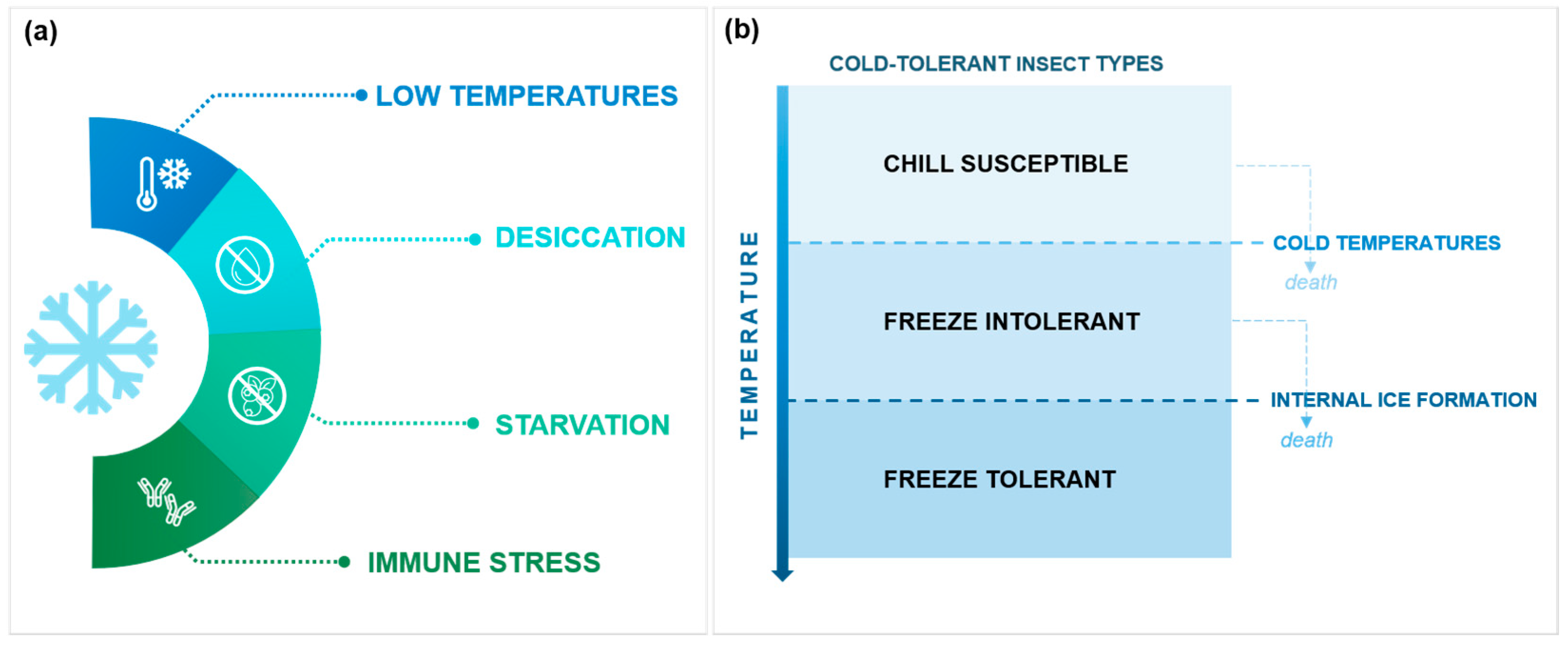 Biology 12 00907 g001