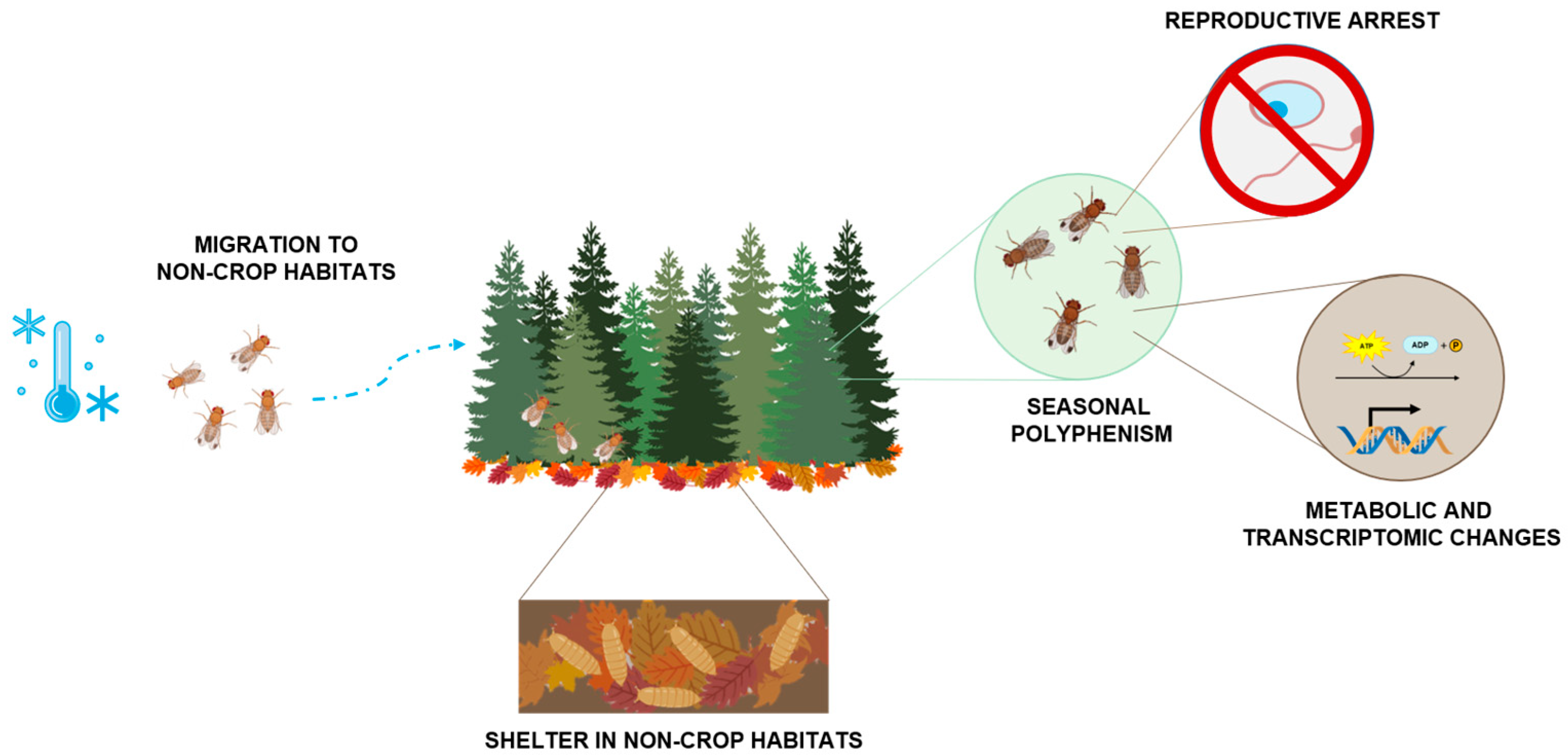 Biology 12 00907 g002