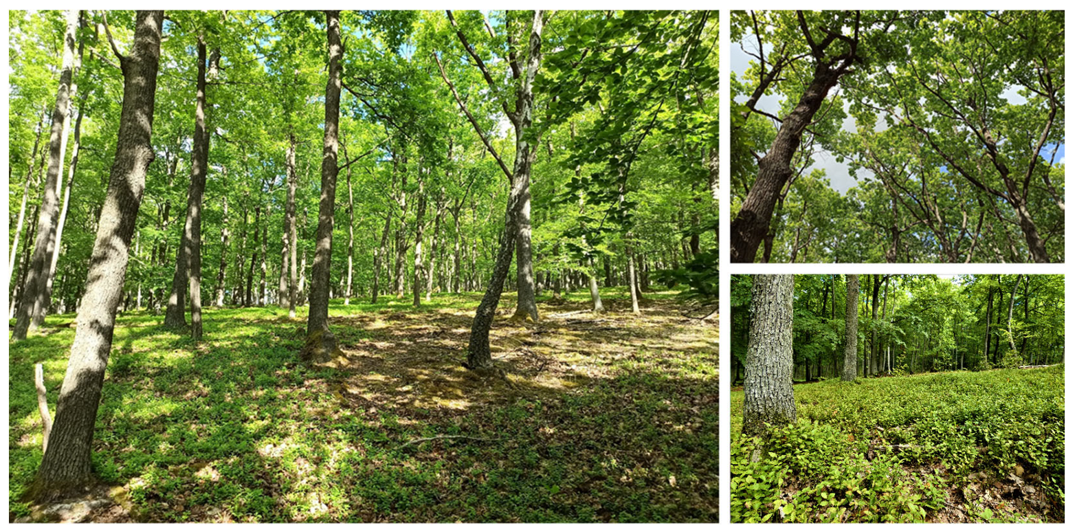 Biology 12 00910 g002