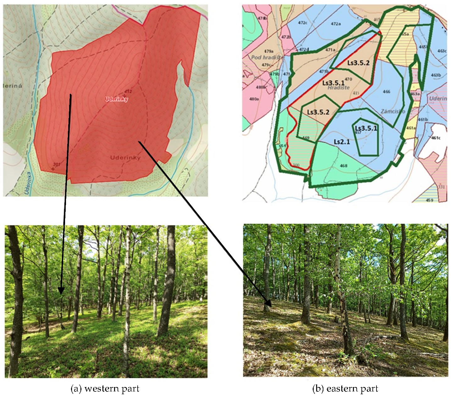 Biology 12 00910 g007