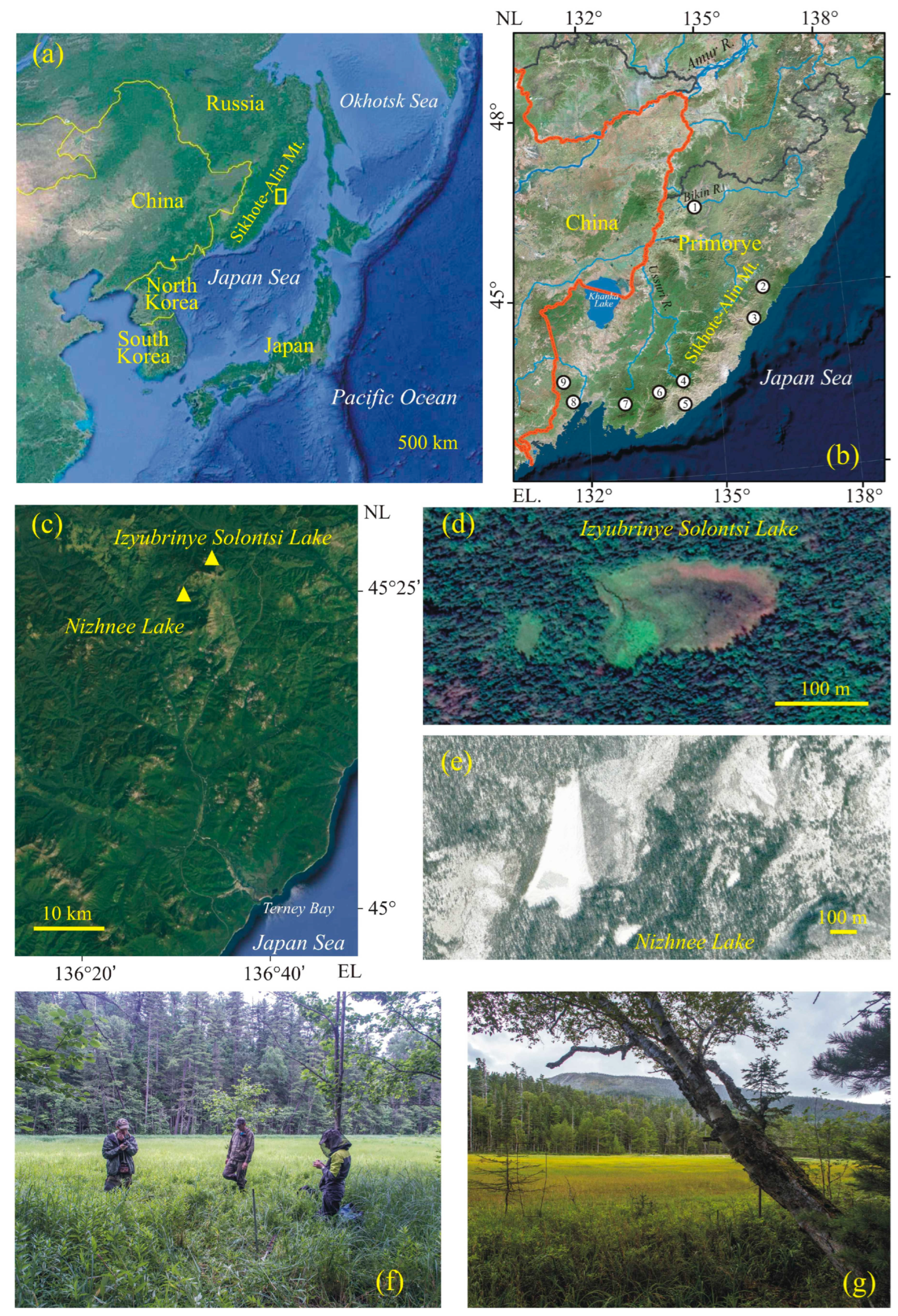 Biology 12 00913 g001 Biology 12 00913 g001