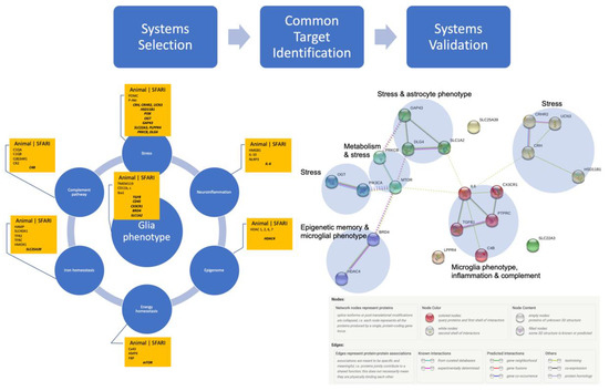Biology 12 00914 g001