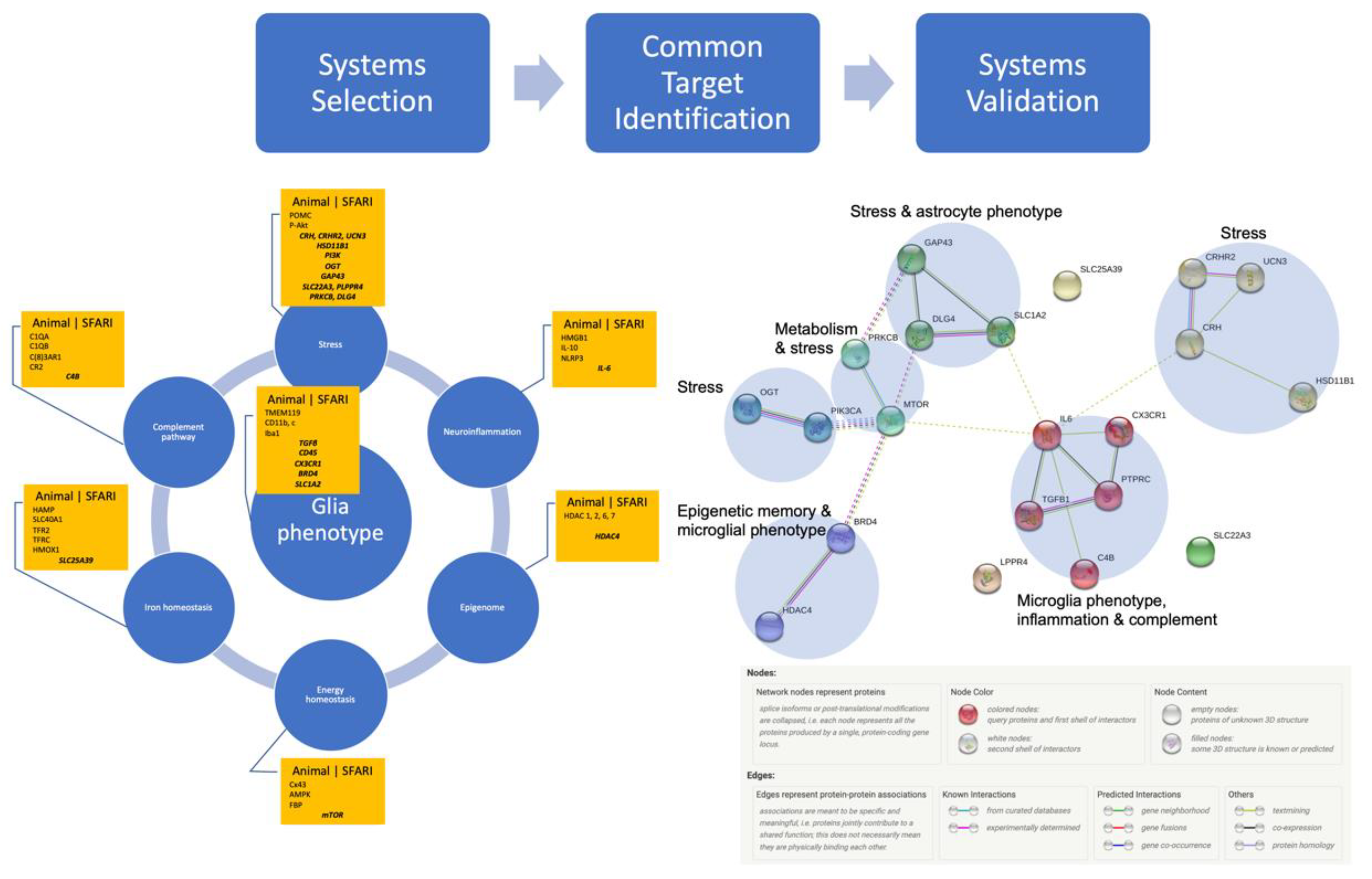 Biology 12 00914 g001