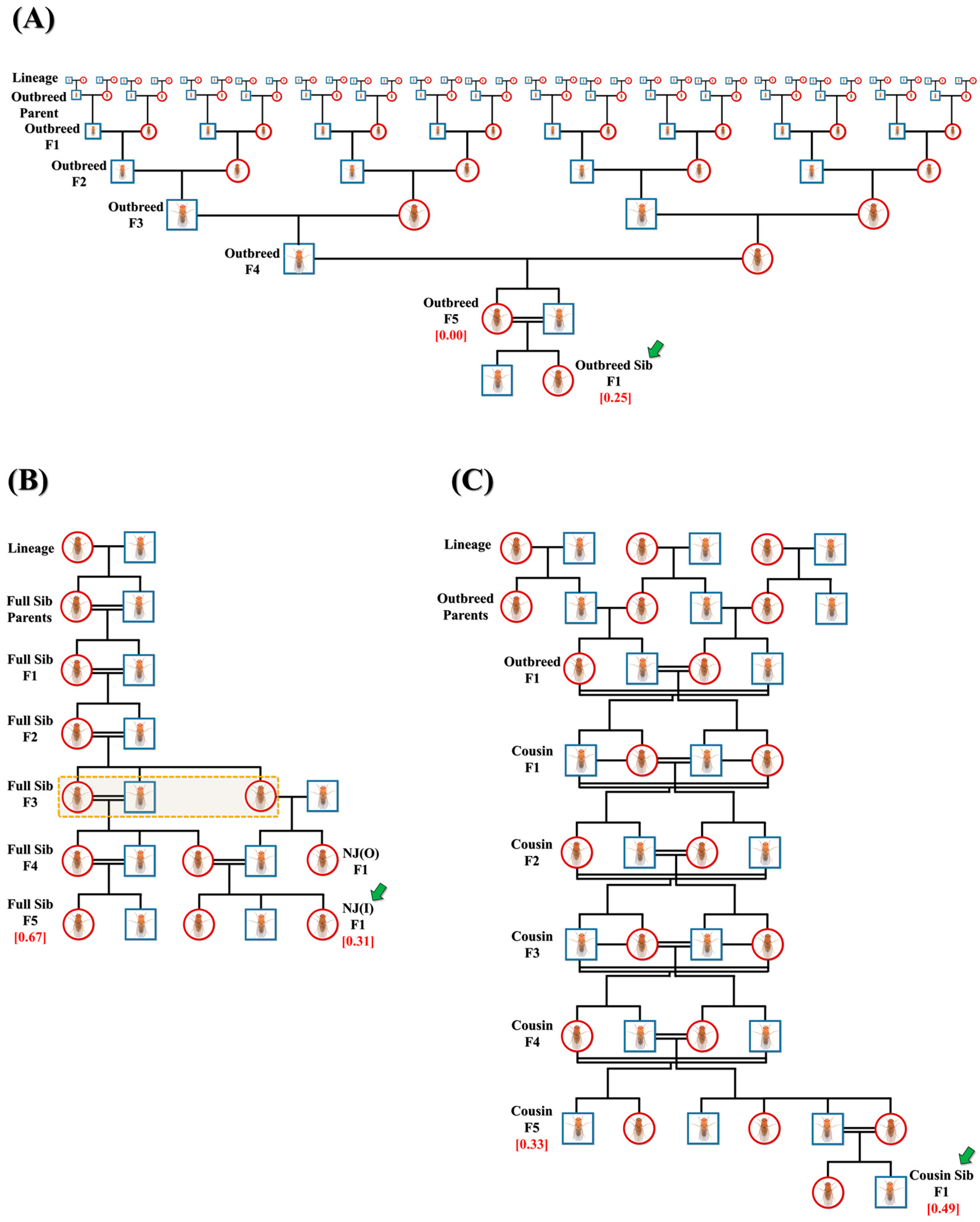 Biology 12 00926 g001