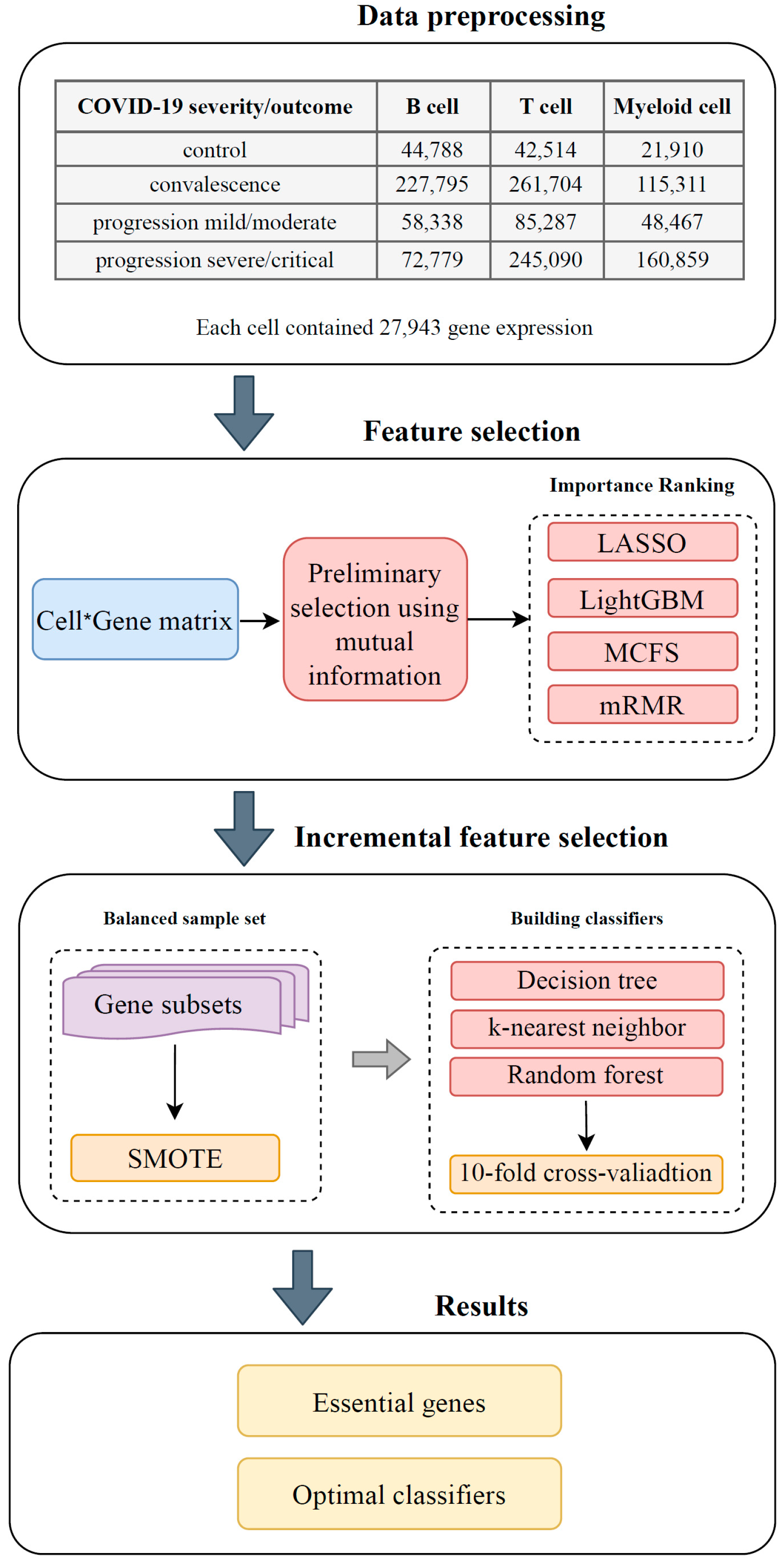 Biology 12 00947 g001