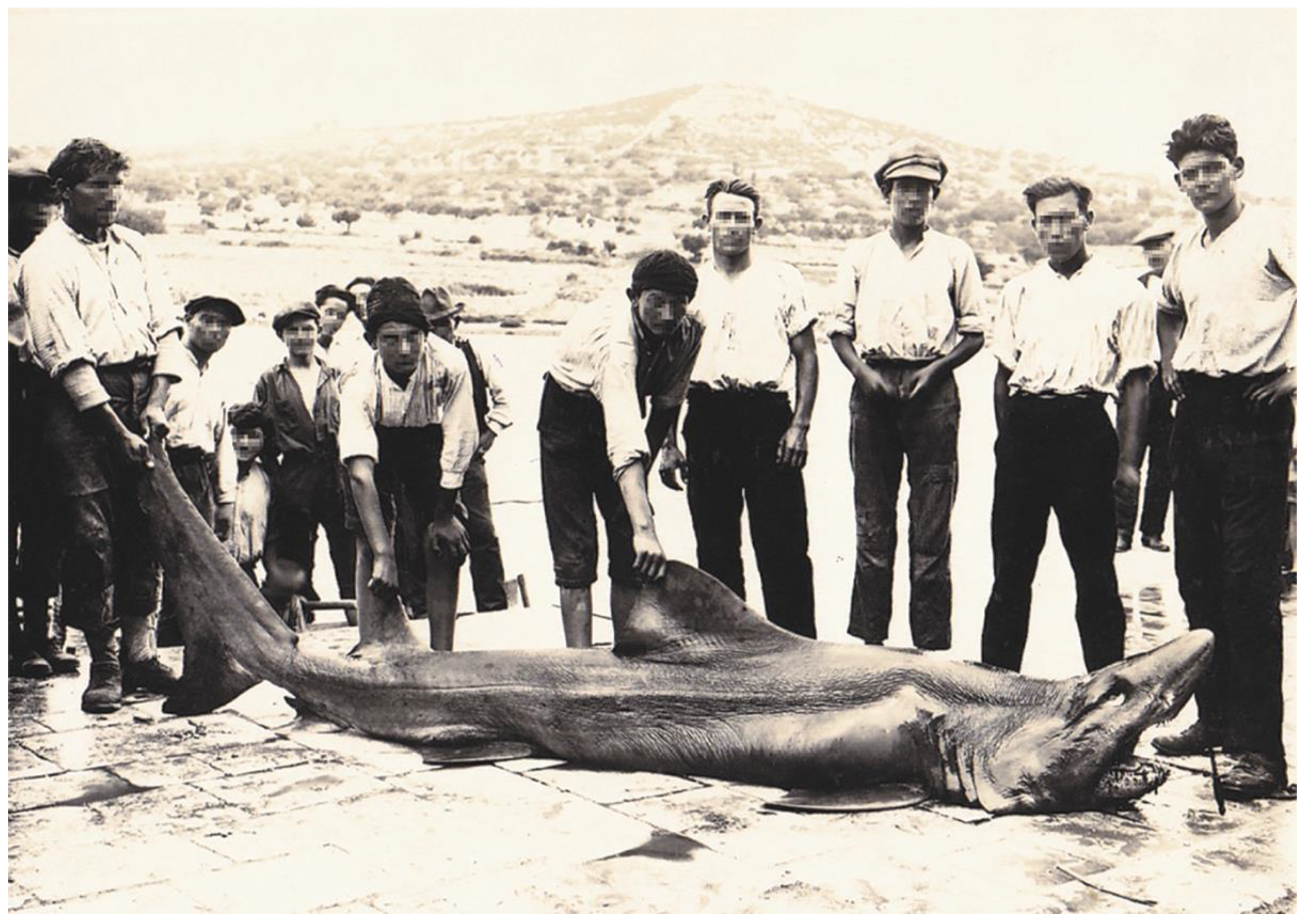 Biology 12 00952 g008