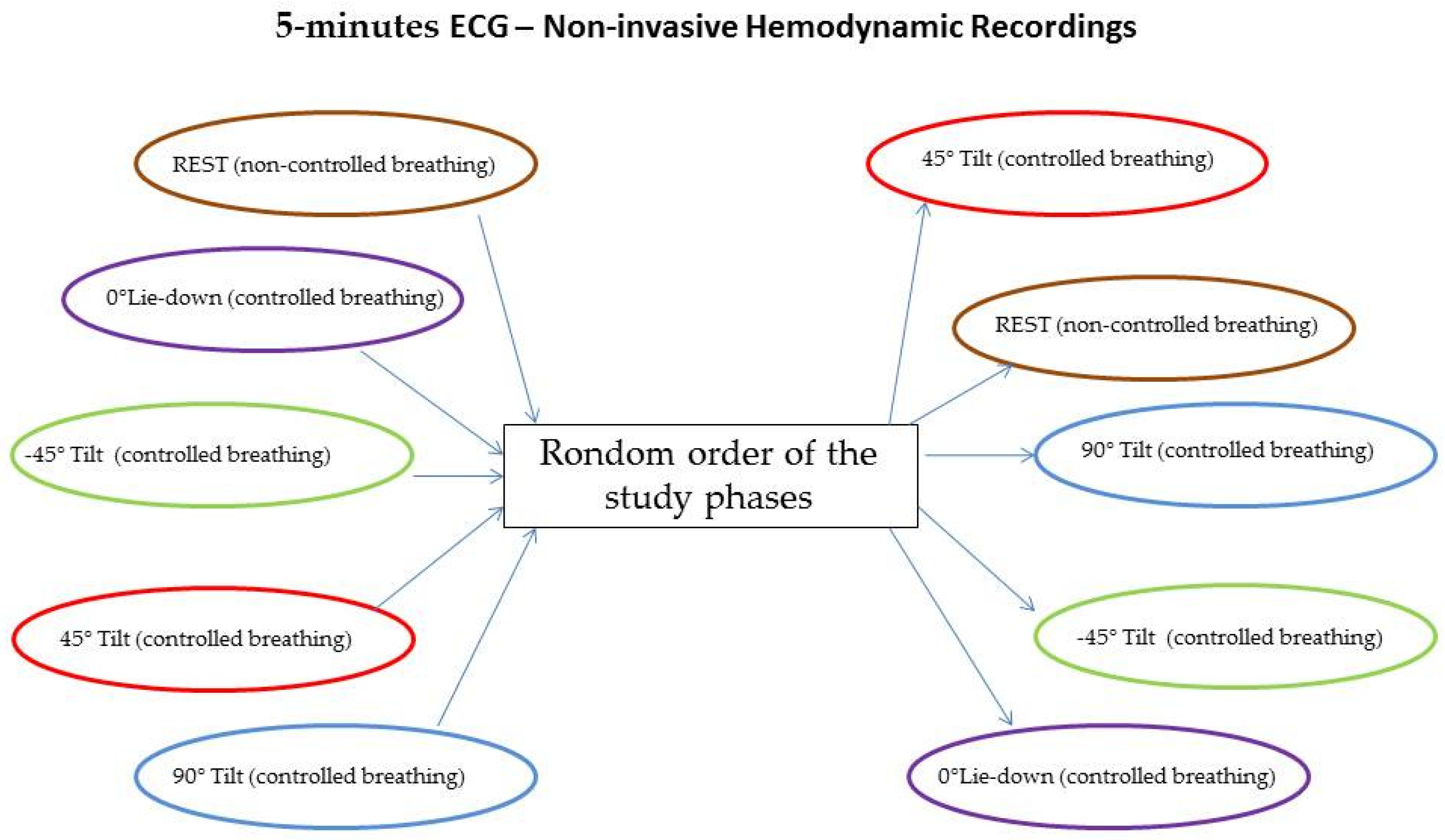 Biology 12 00960 g001