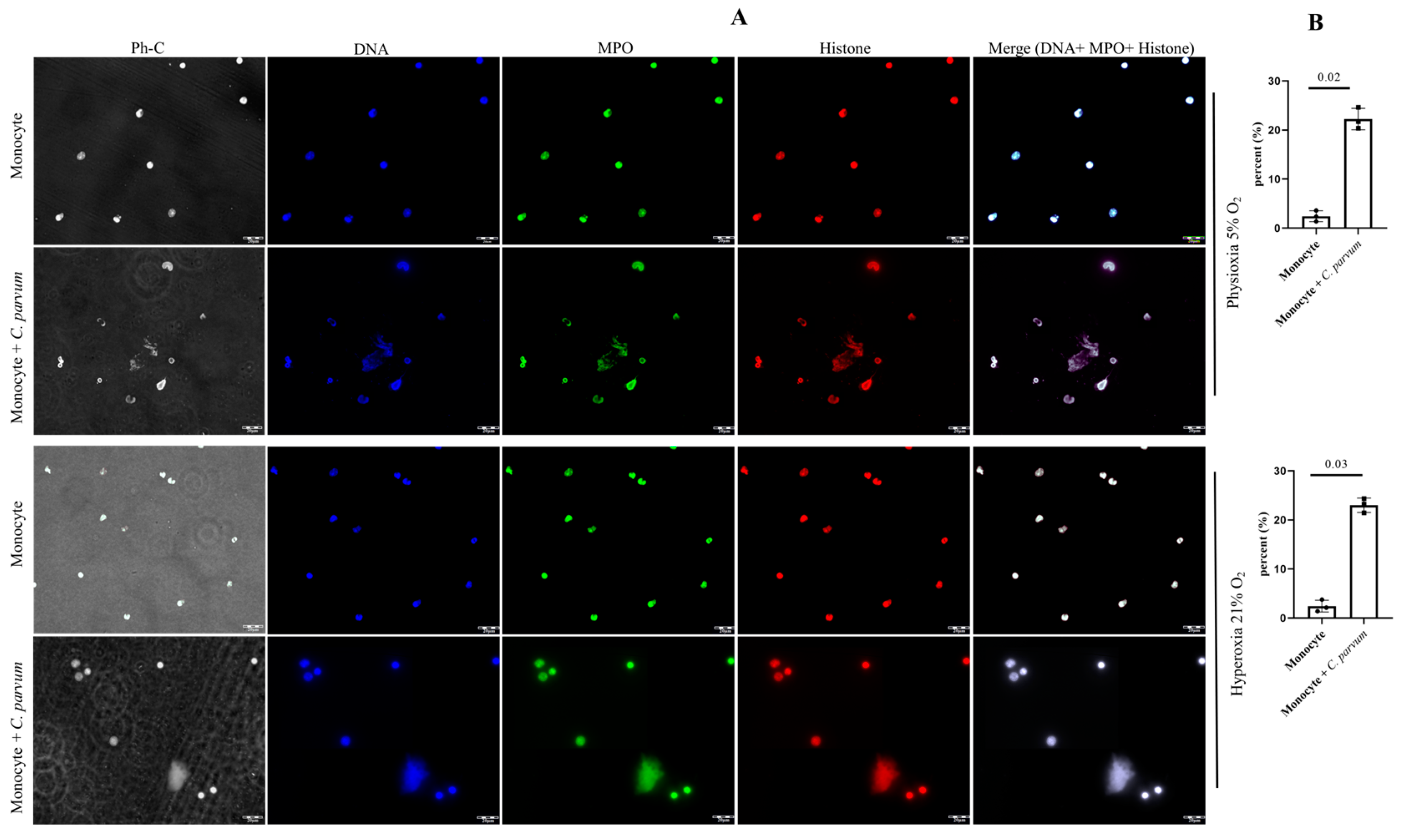 Biology 12 00961 g002