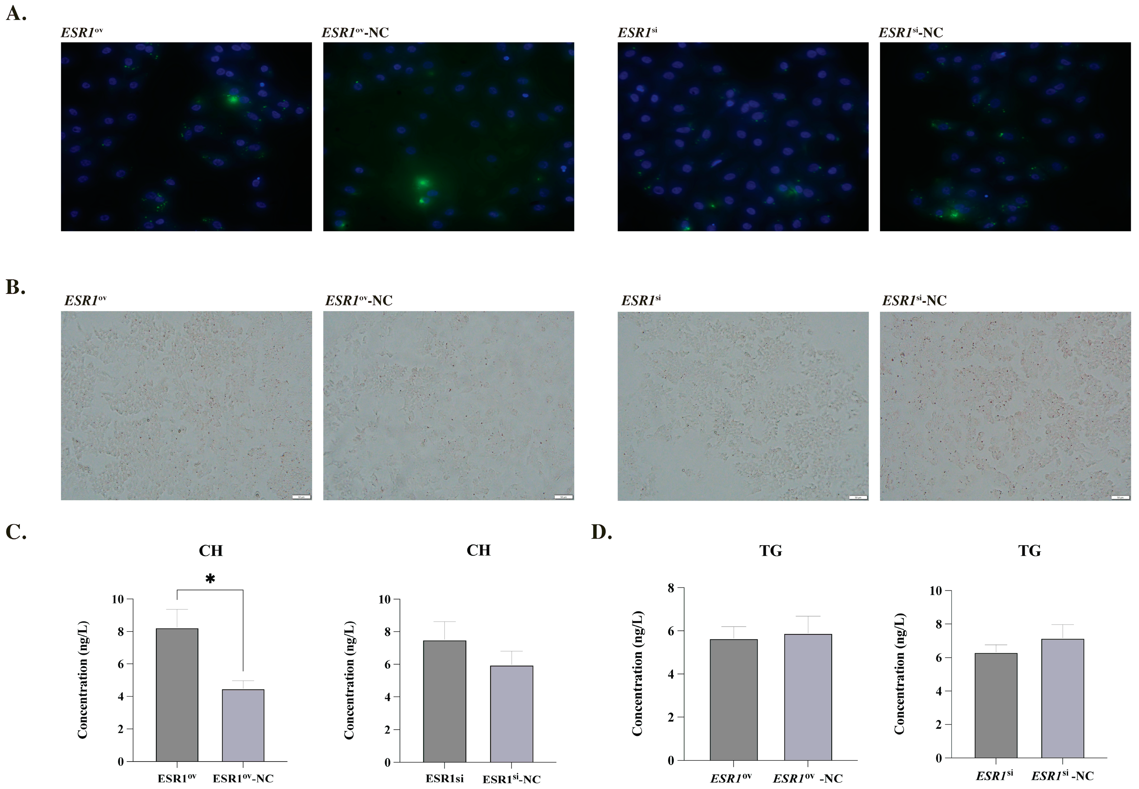 Biology 12 00962 g002 Biology 12 00962 g002