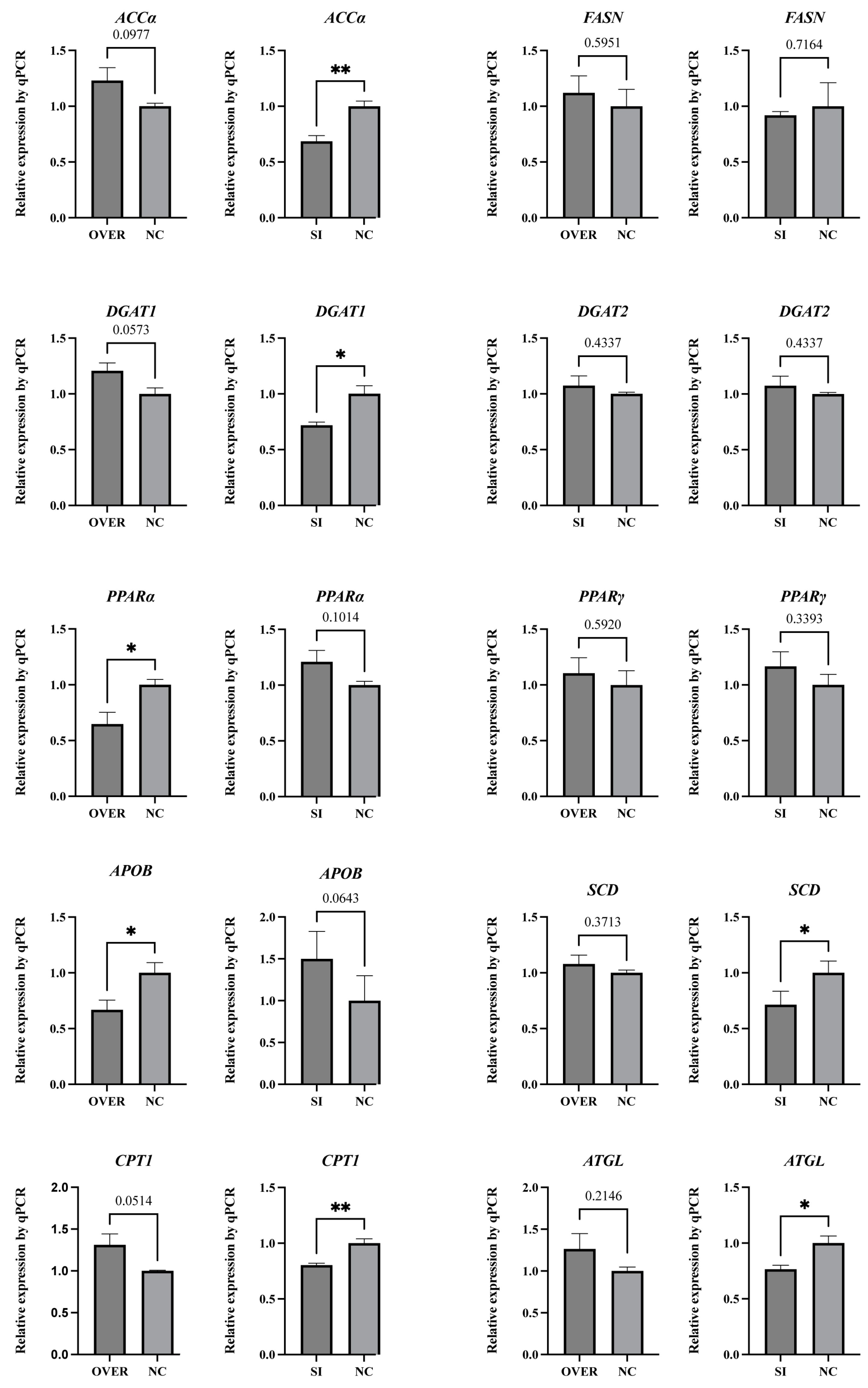 Biology 12 00962 g004 Biology 12 00962 g004