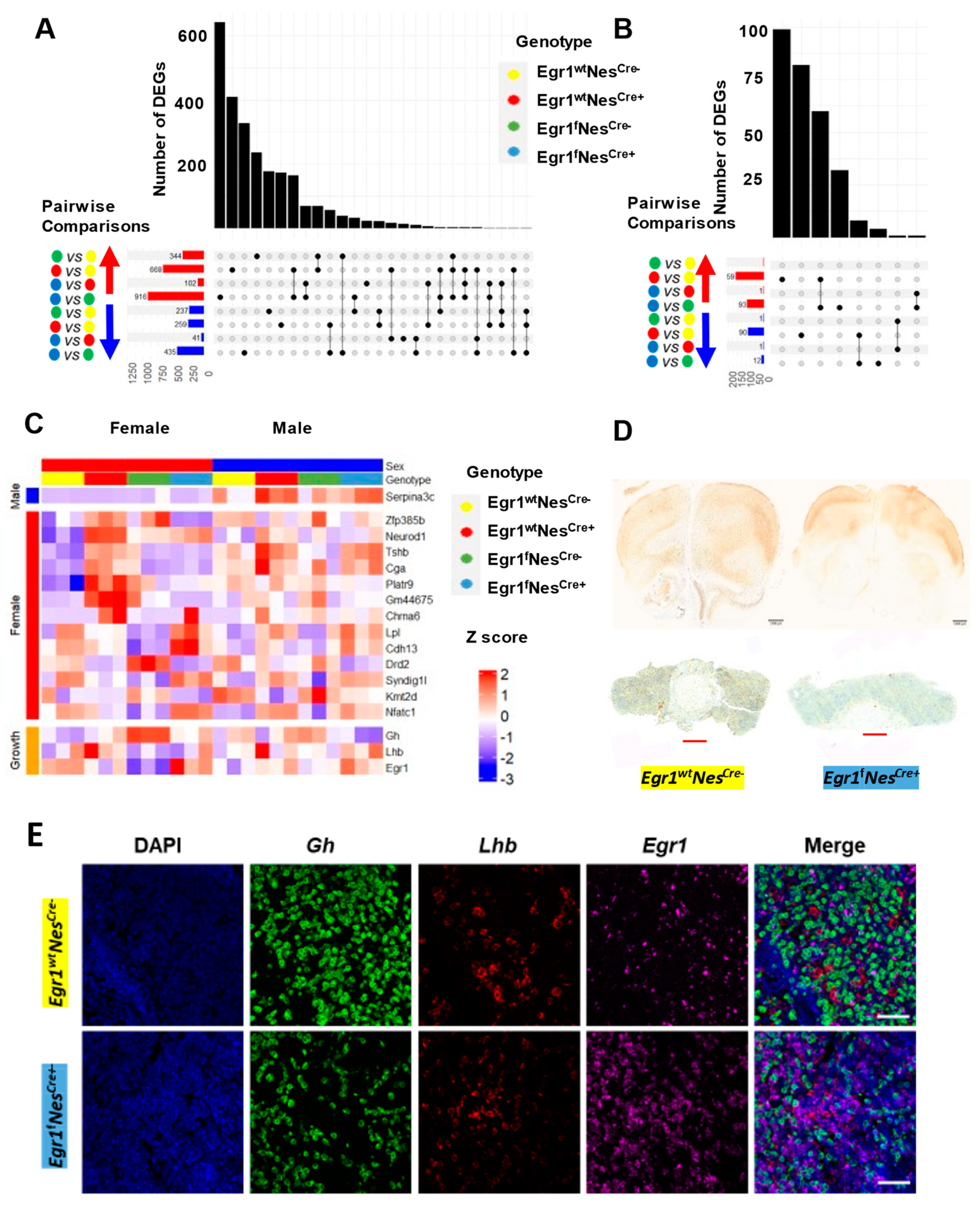 Biology 12 00966 g006