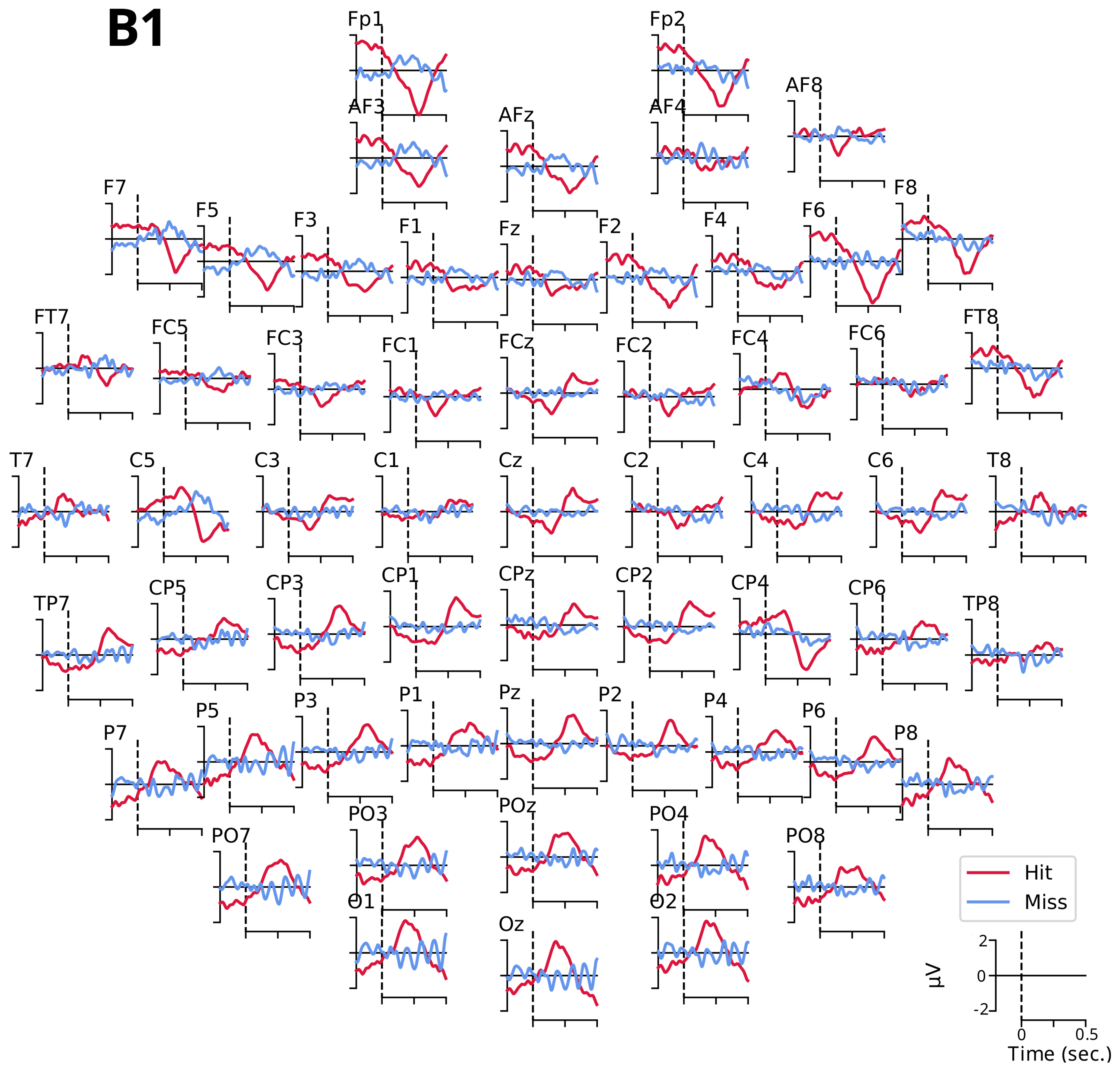 Biology 12 00967 g0a2 Biology 12 00967 g0a2