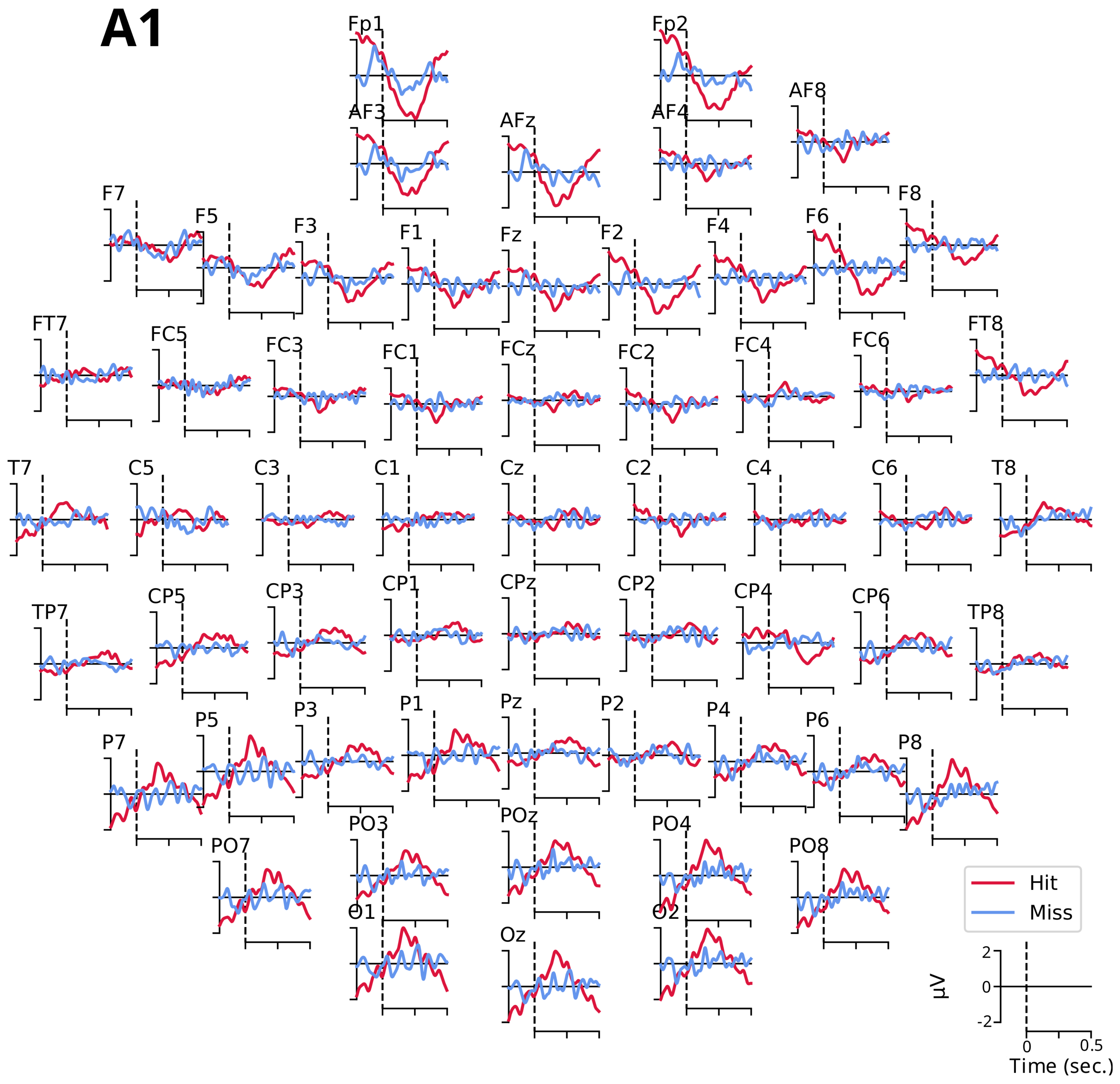 Biology 12 00967 g0a3 Biology 12 00967 g0a3