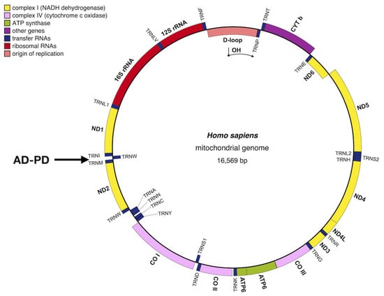 Biology 12 00972 g002