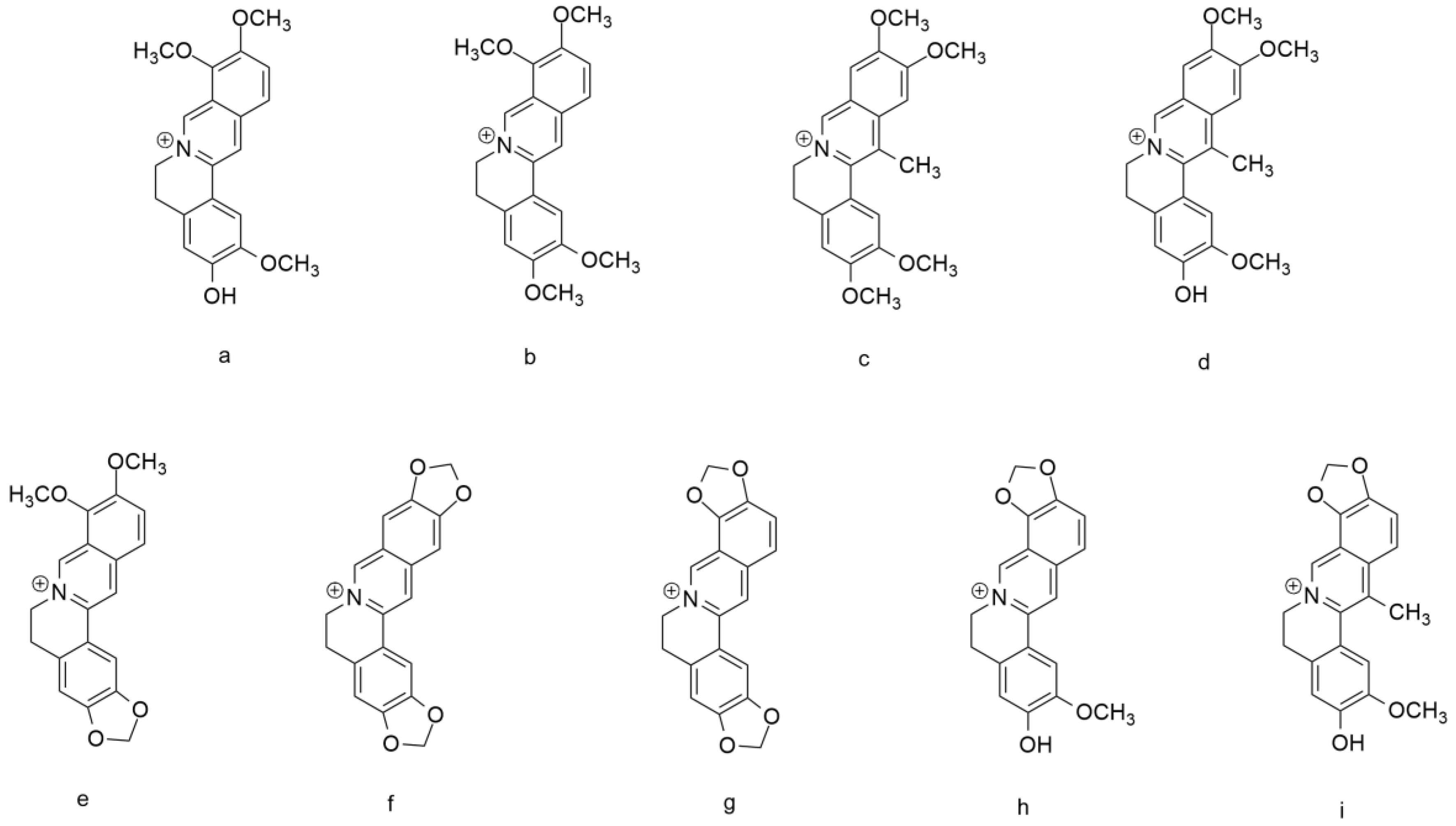 Biology 12 00973 g002