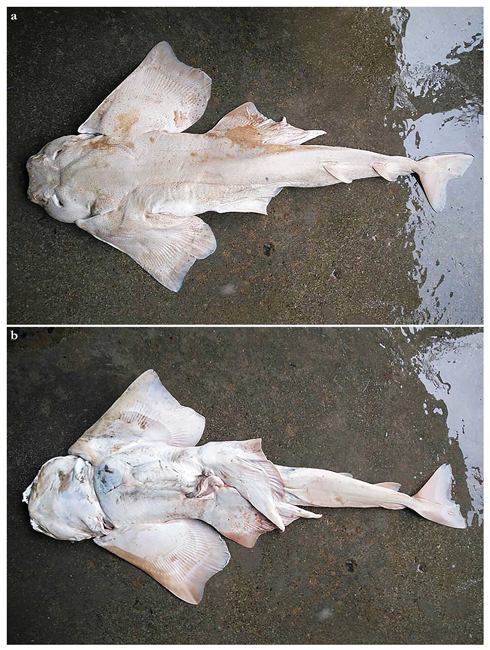 Biology 12 00975 g007