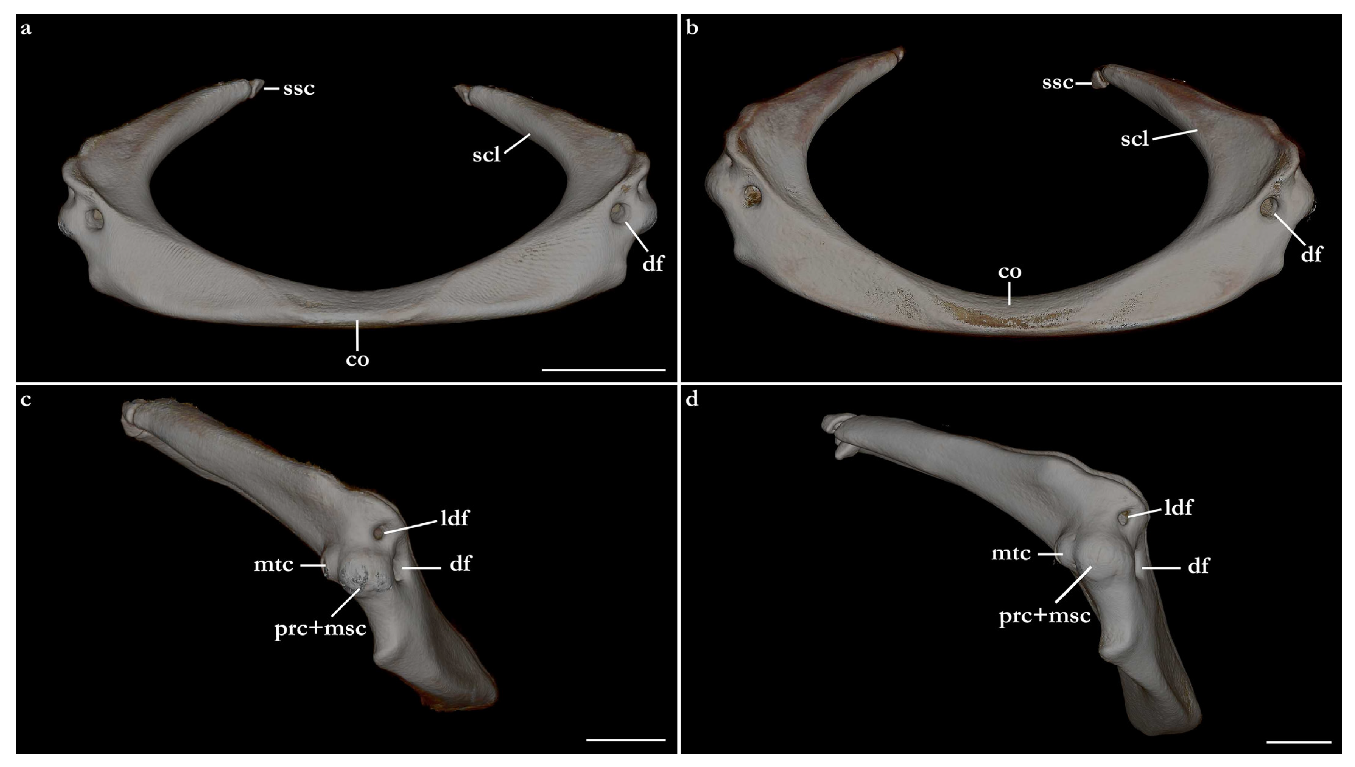 Biology 12 00975 g030