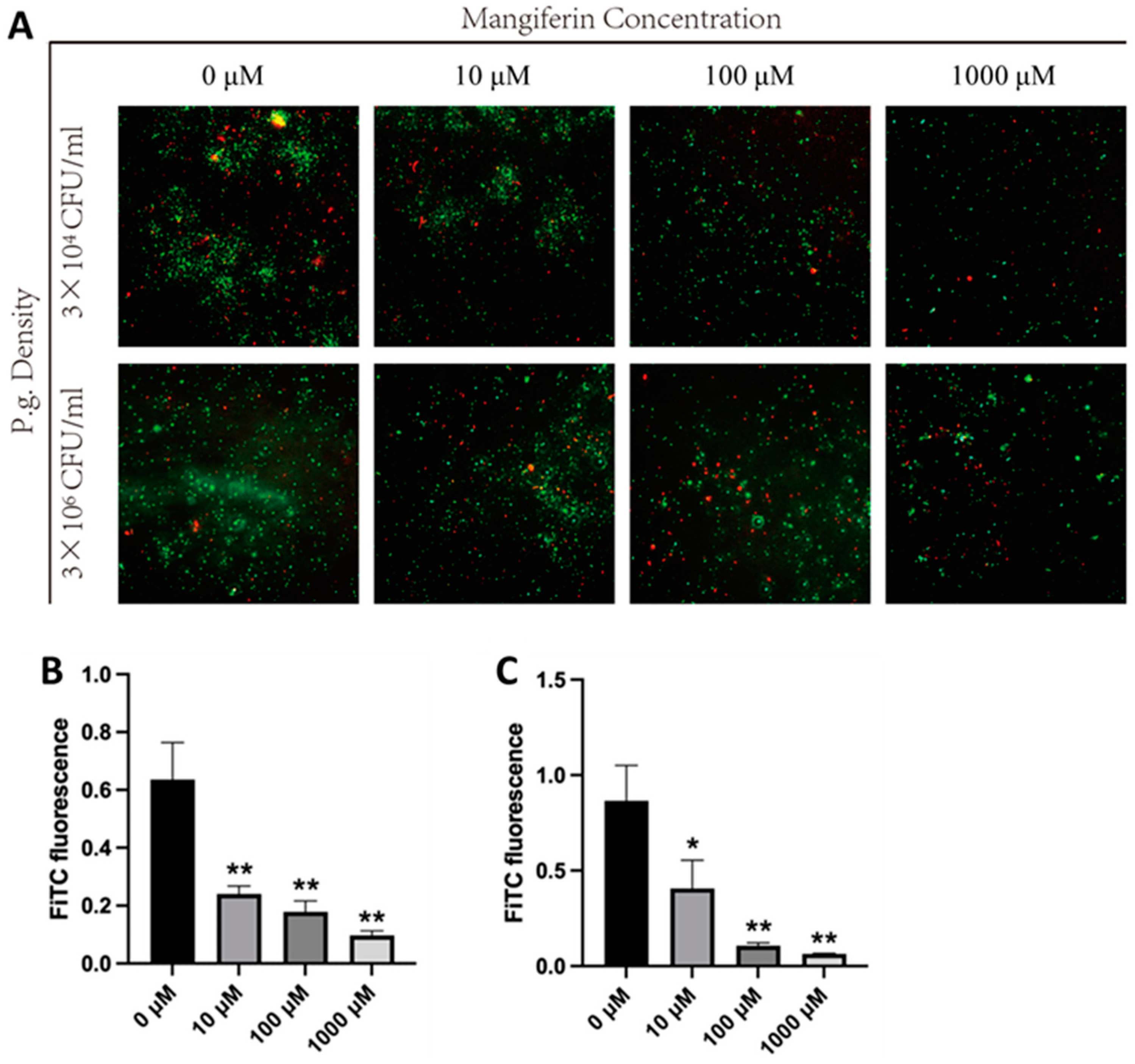 Biology 12 00976 g002 Biology 12 00976 g002