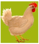 Biology 12 00979 i012