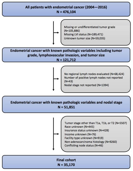 Biology 12 00982 g001