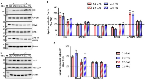 Biology 12 01002 g003