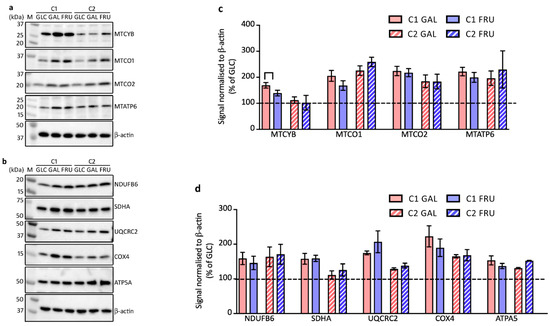 Biology 12 01002 g004