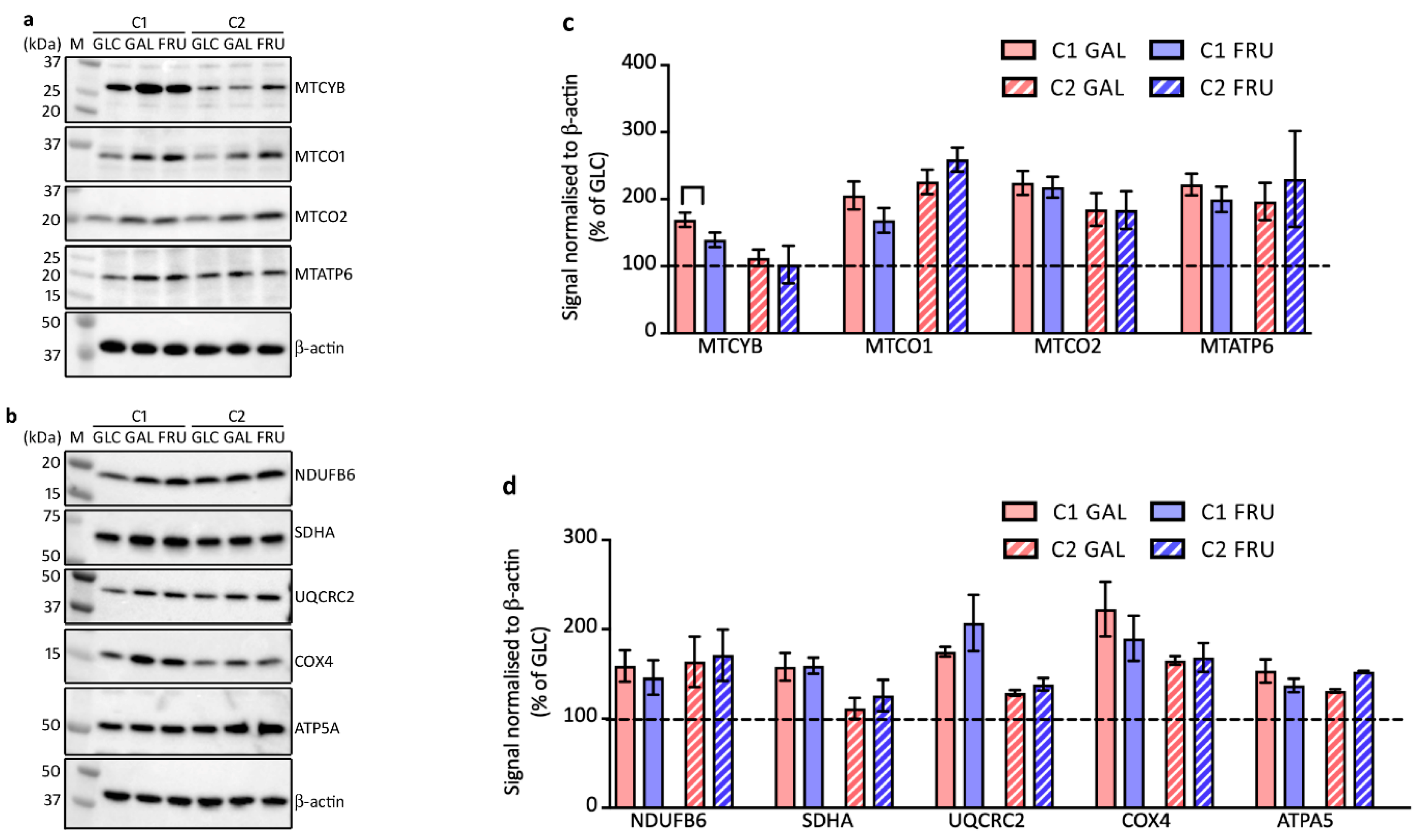Biology 12 01002 g004