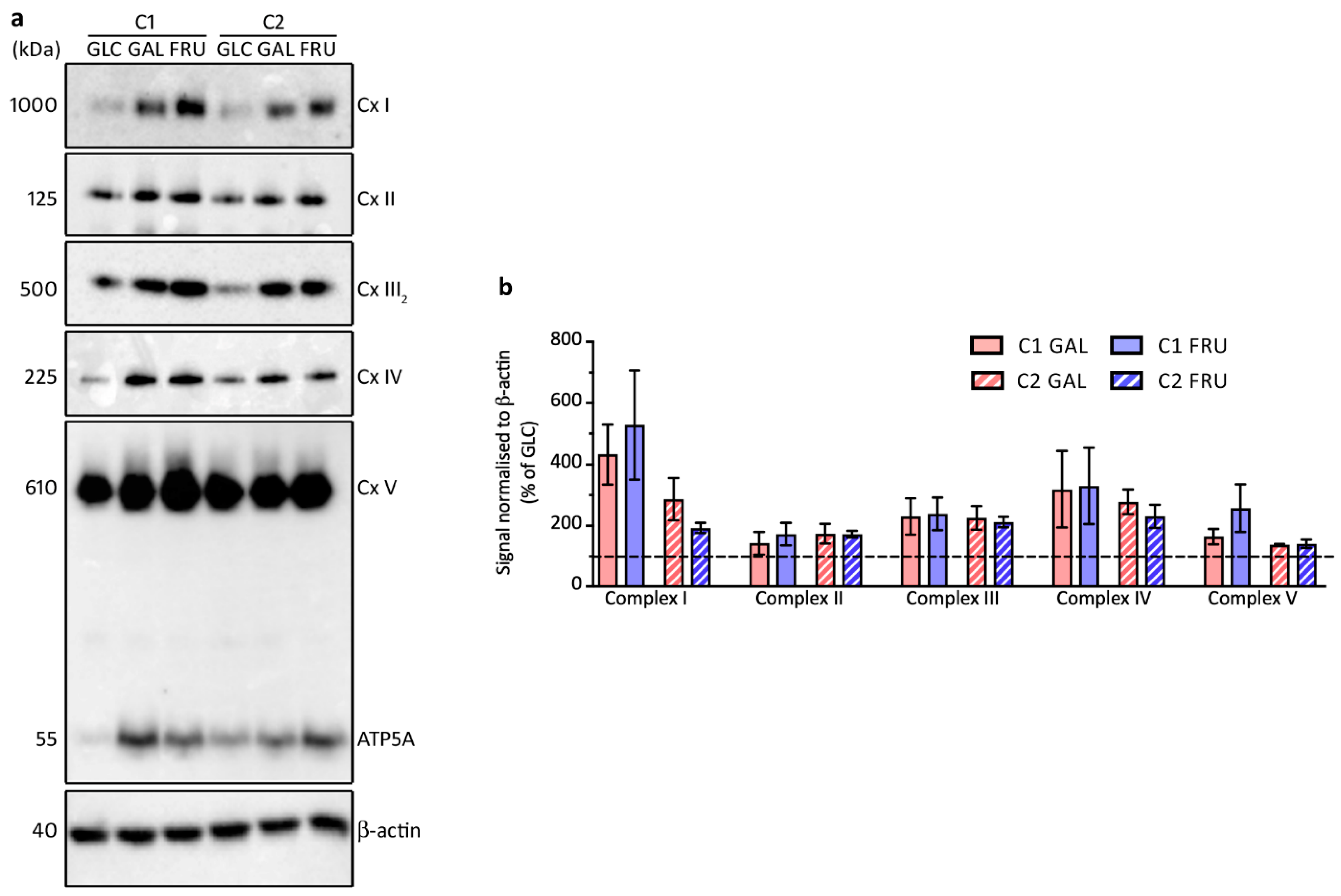 Biology 12 01002 g005