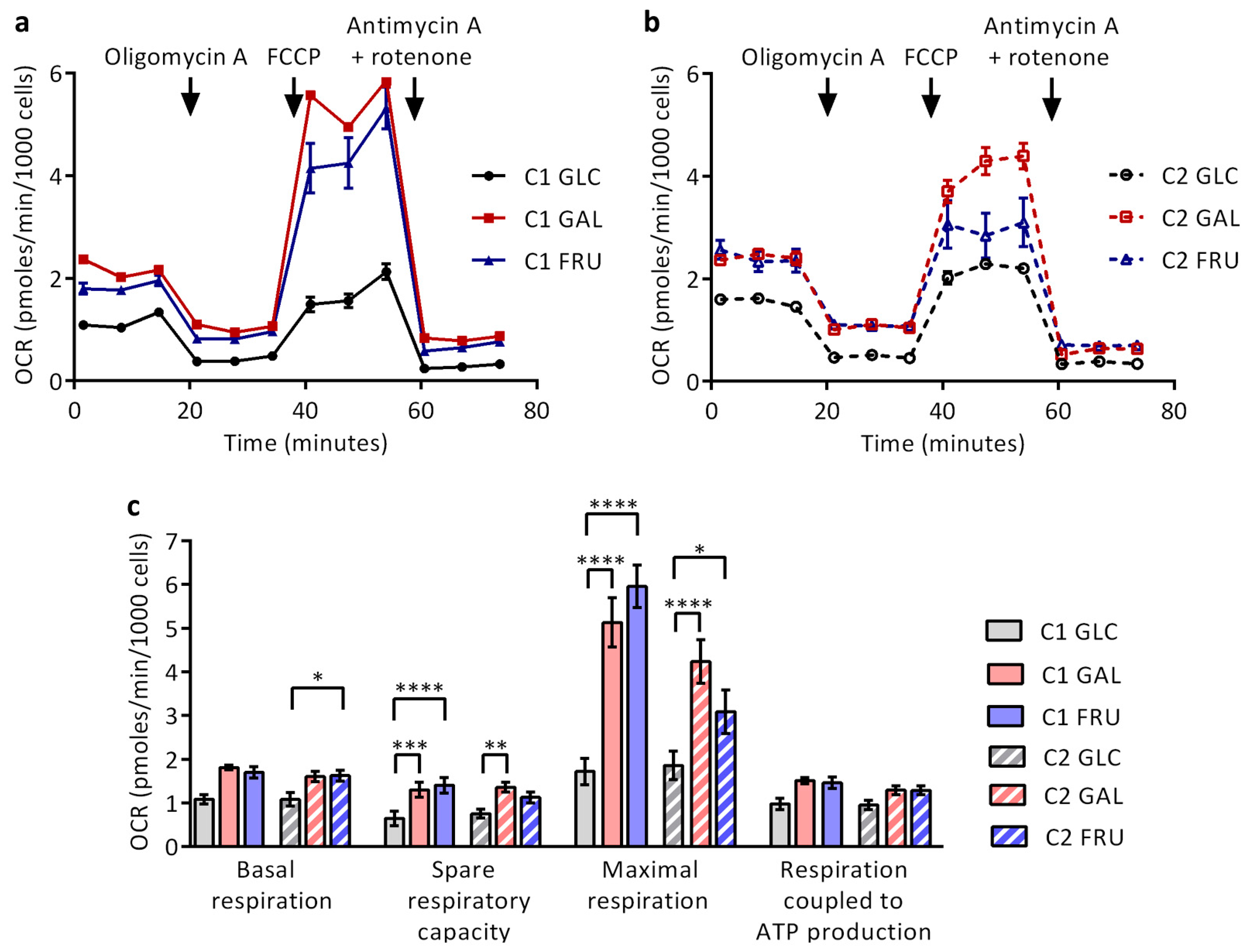 Biology 12 01002 g007