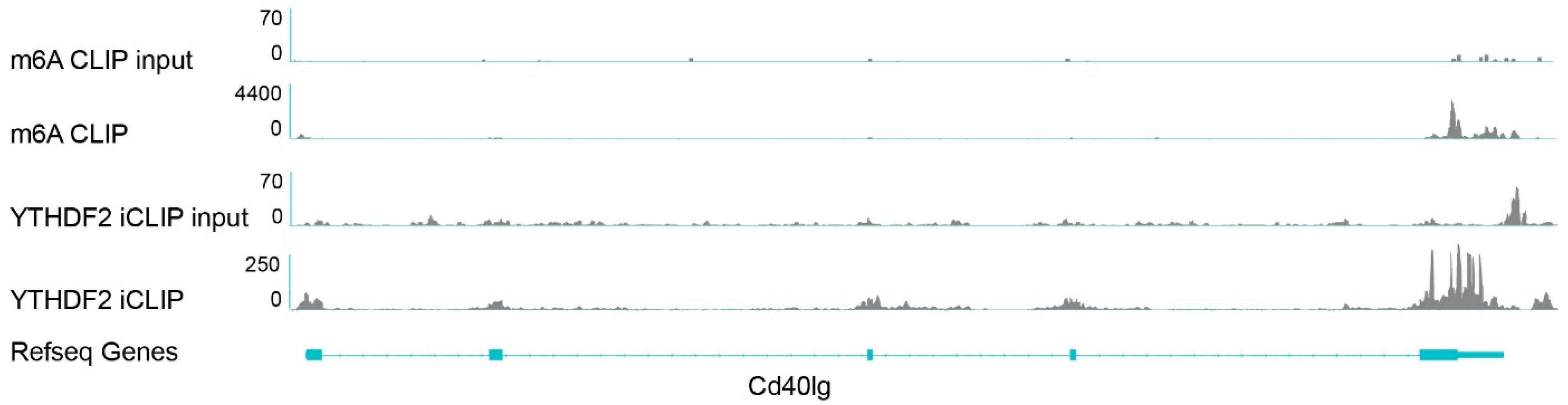 Biology 12 01004 g004