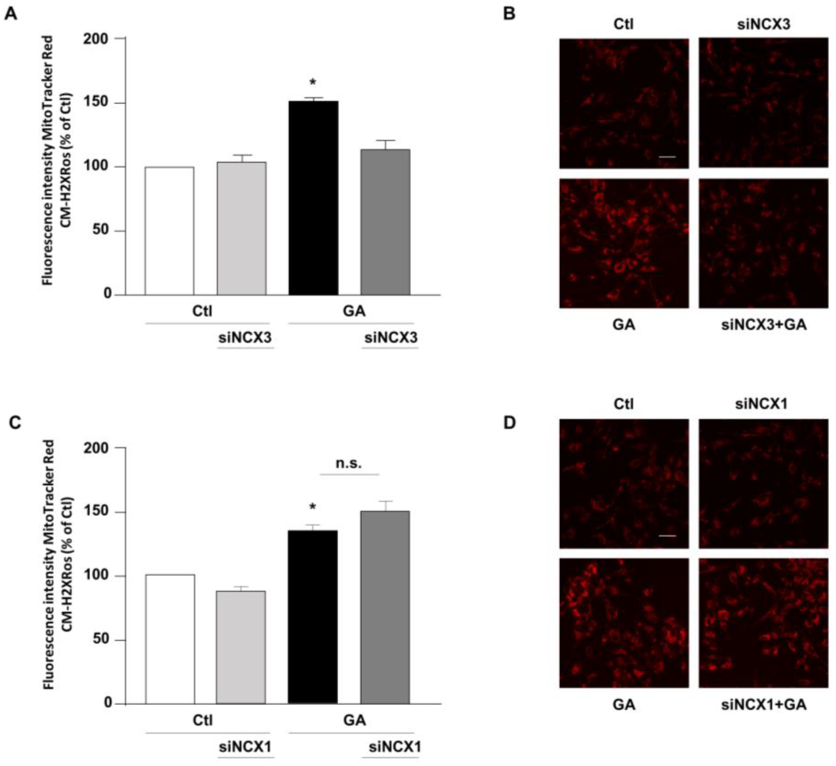 Biology 12 01005 g003 Biology 12 01005 g003