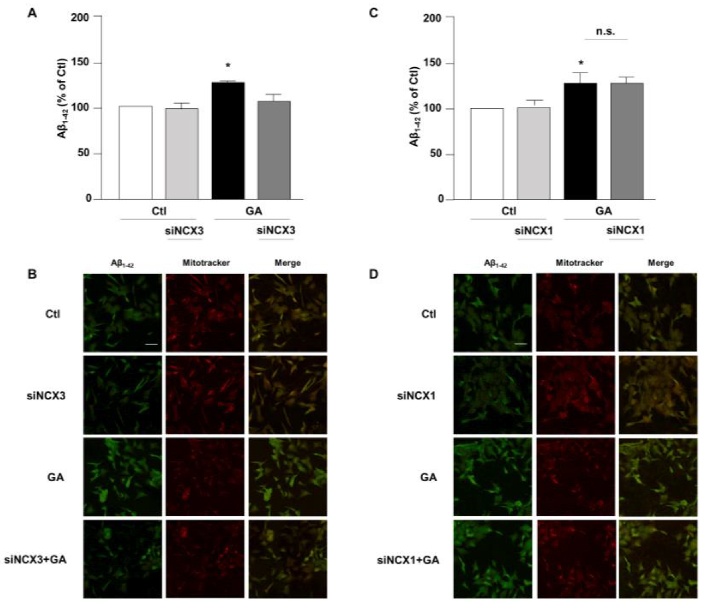 Biology 12 01005 g004 Biology 12 01005 g004