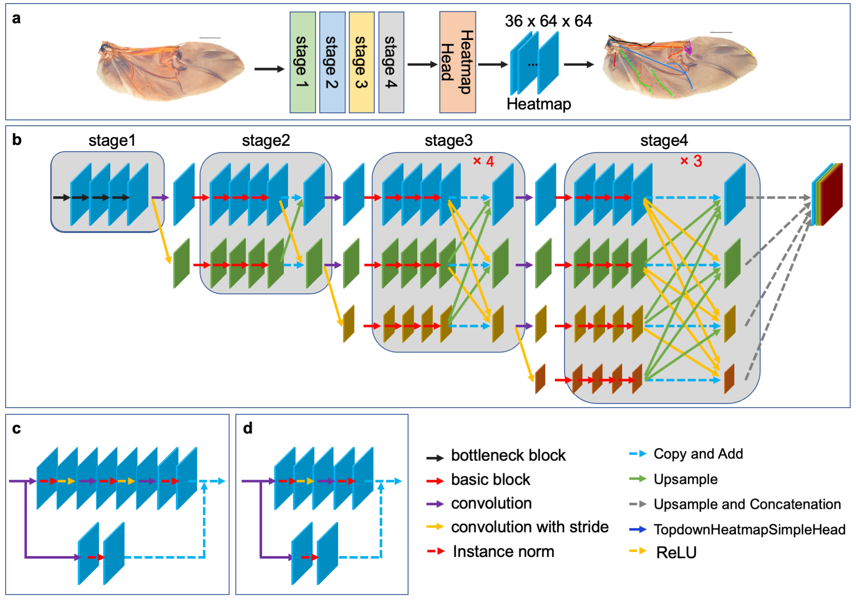 Biology 12 01006 g002 Biology 12 01006 g002