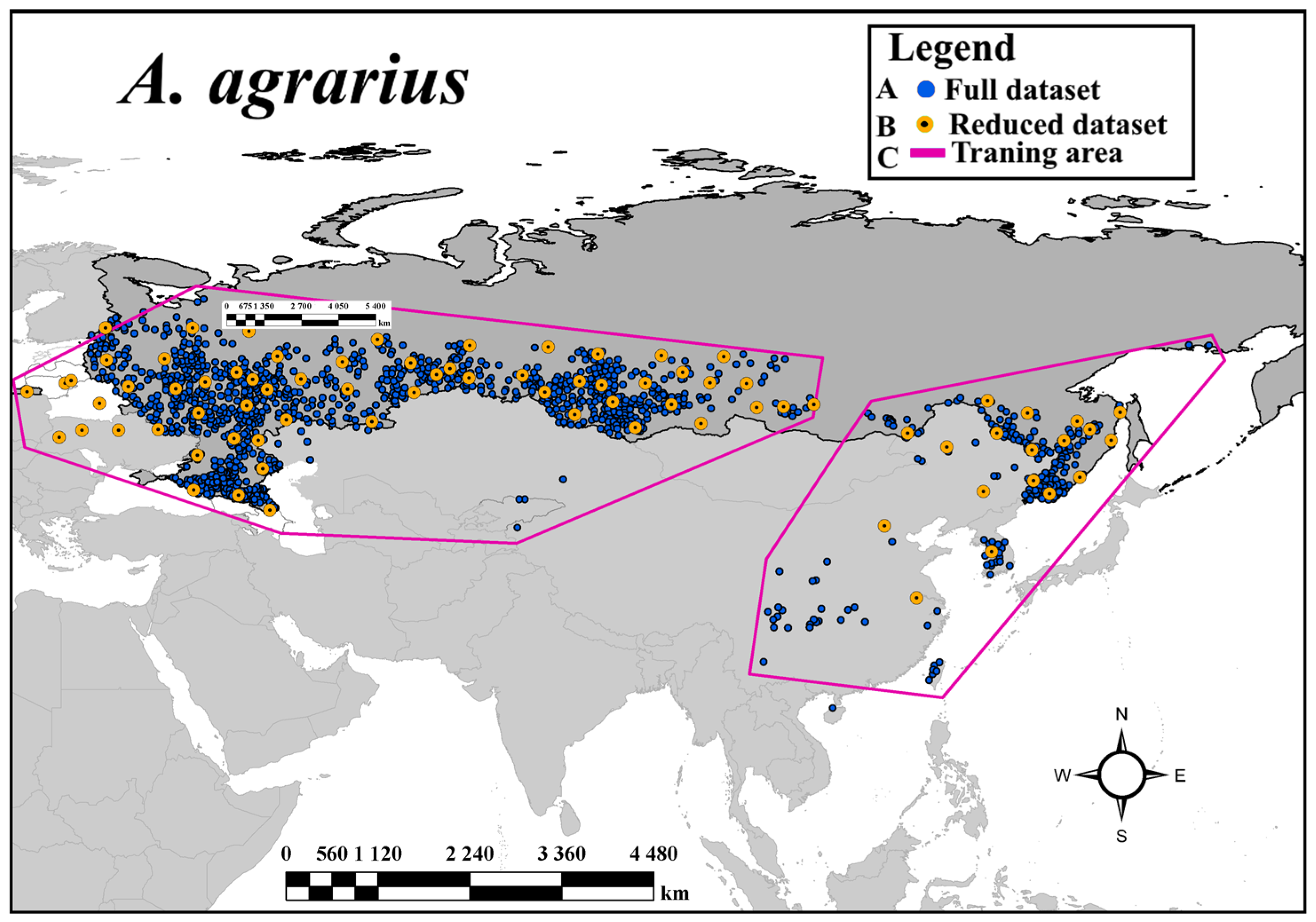 Biology 12 01034 g001
