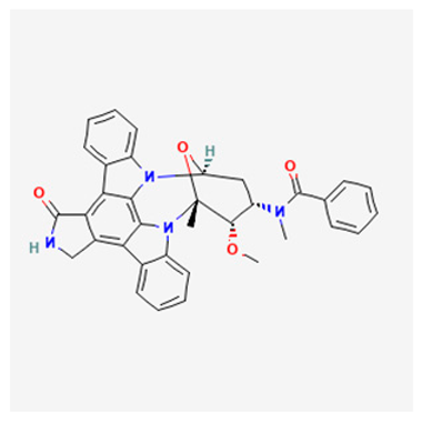 Biology 12 01047 i002 Biology 12 01047 i002