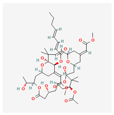 Biology 12 01047 i006 Biology 12 01047 i006