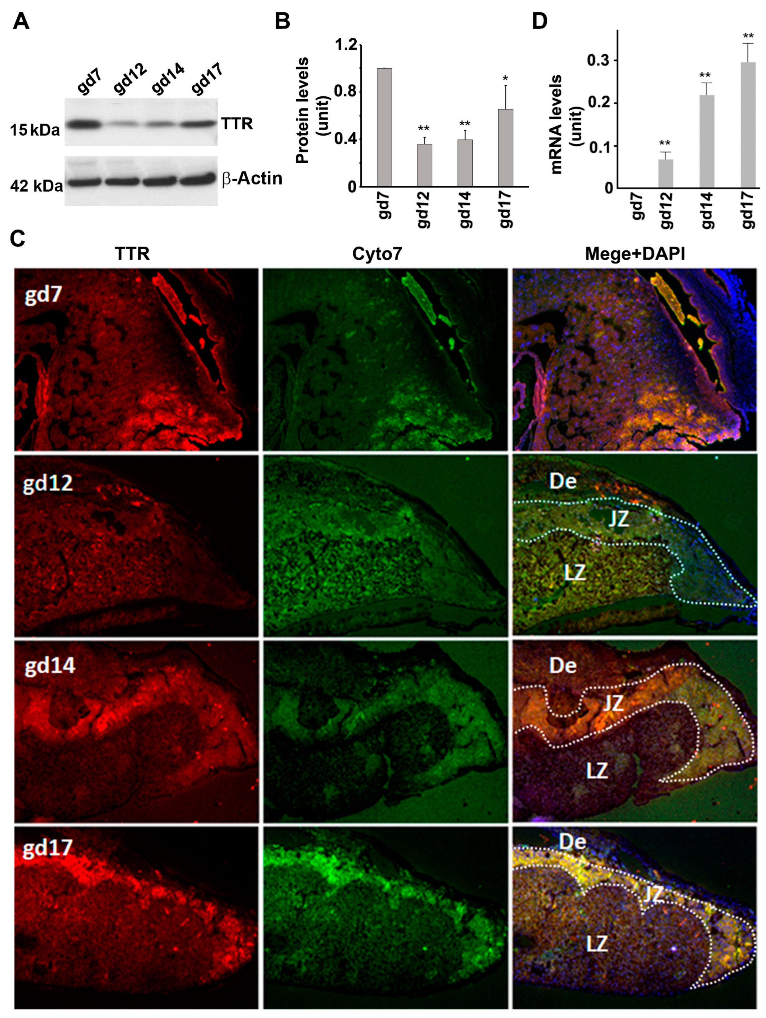 Biology 12 01048 g004 Biology 12 01048 g004