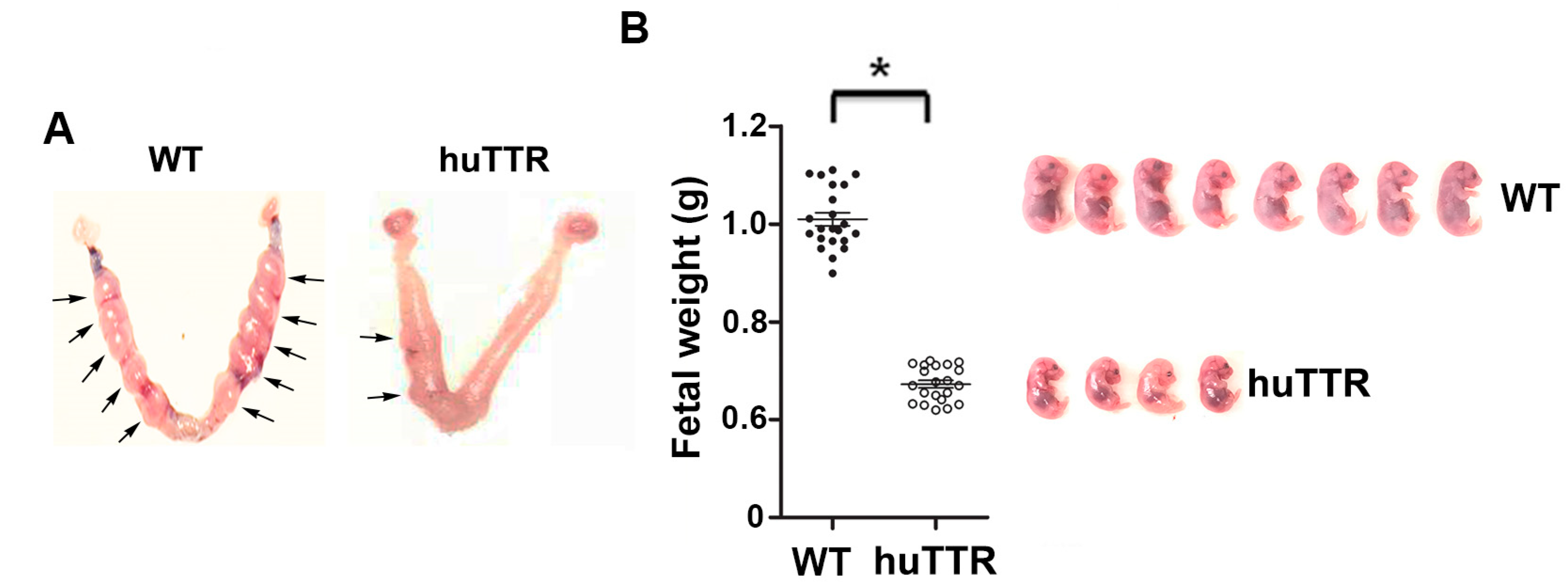 Biology 12 01048 g006 Biology 12 01048 g006