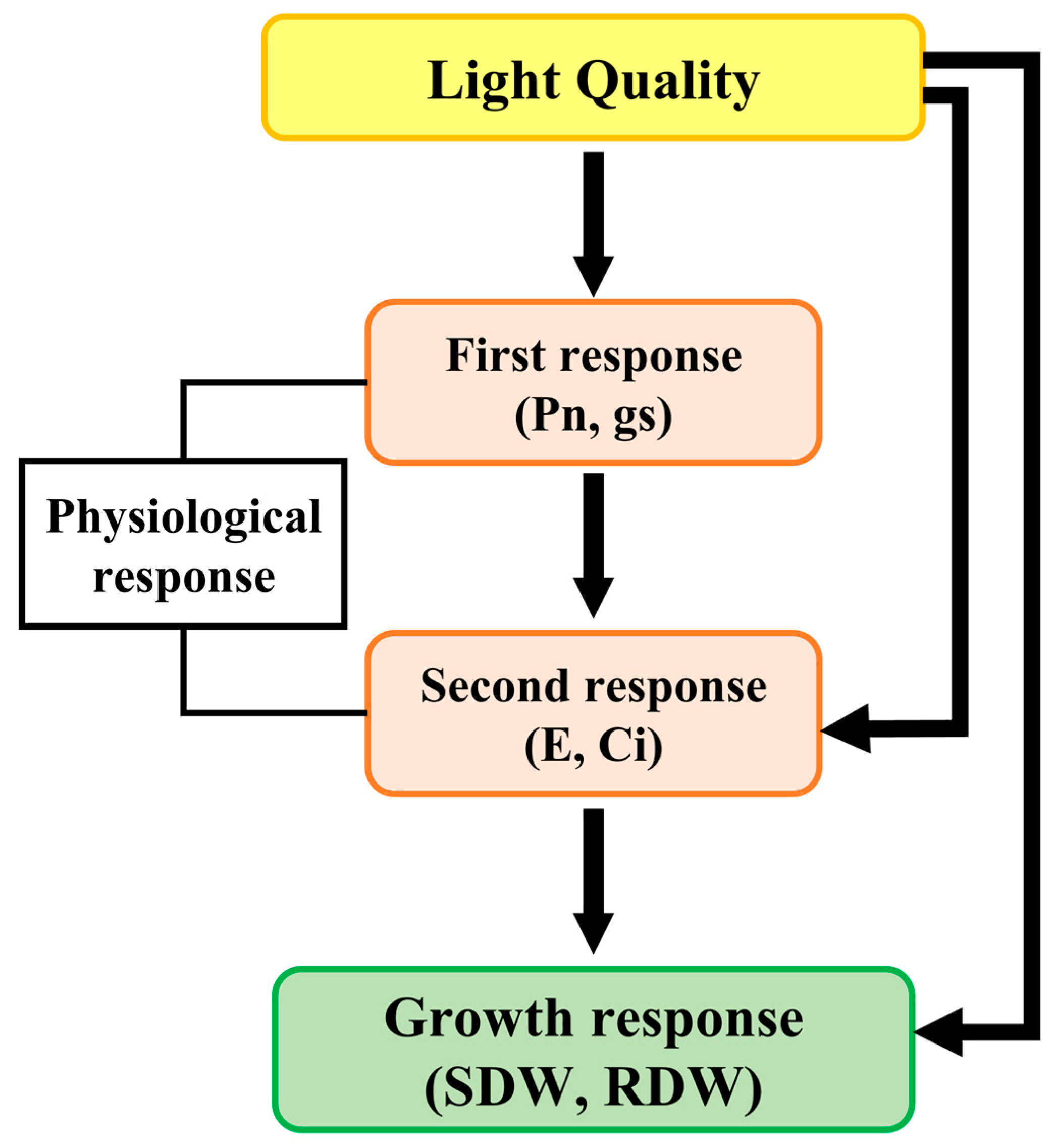 Biology 12 01052 g003