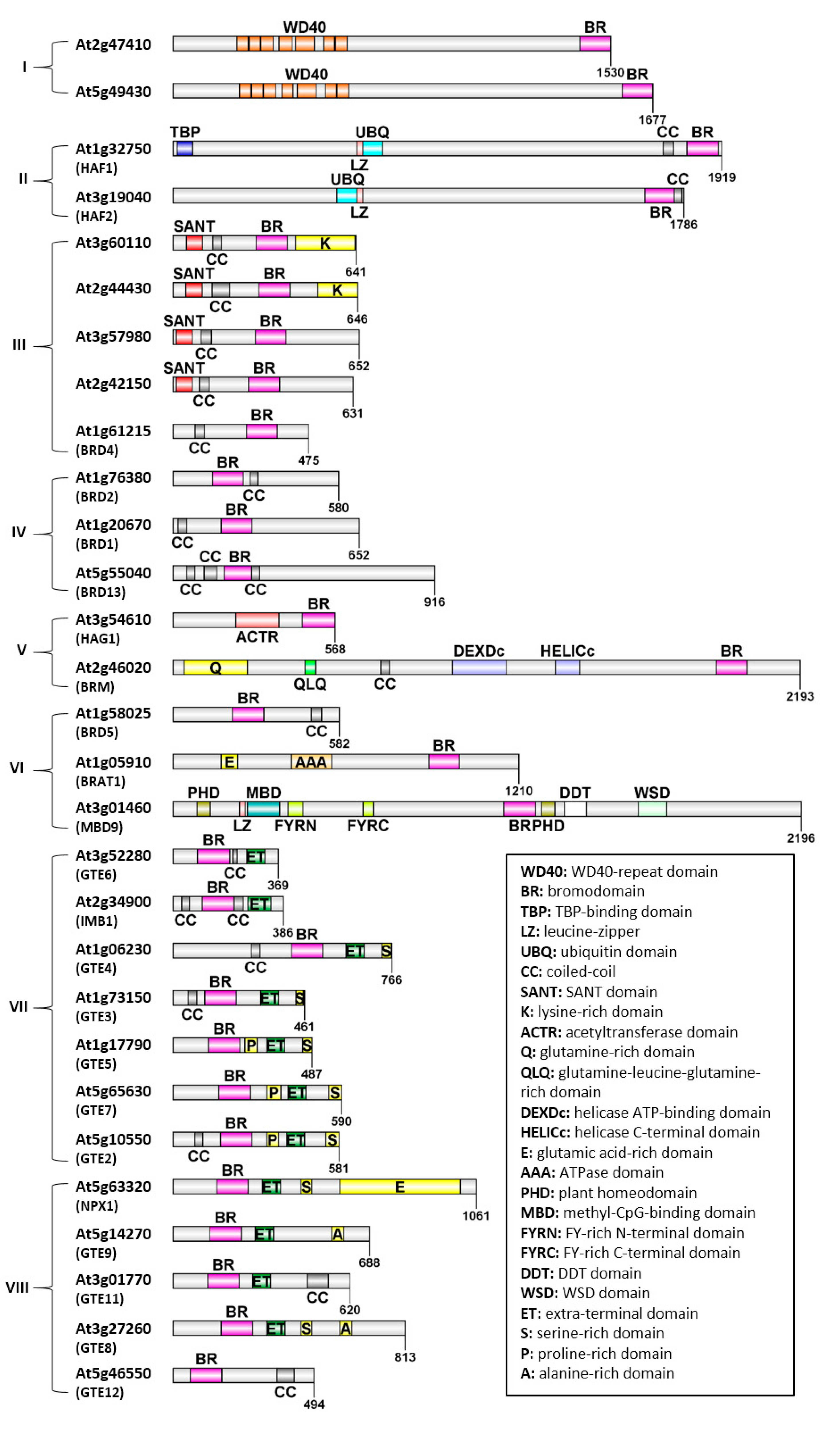 Biology 12 01076 g001