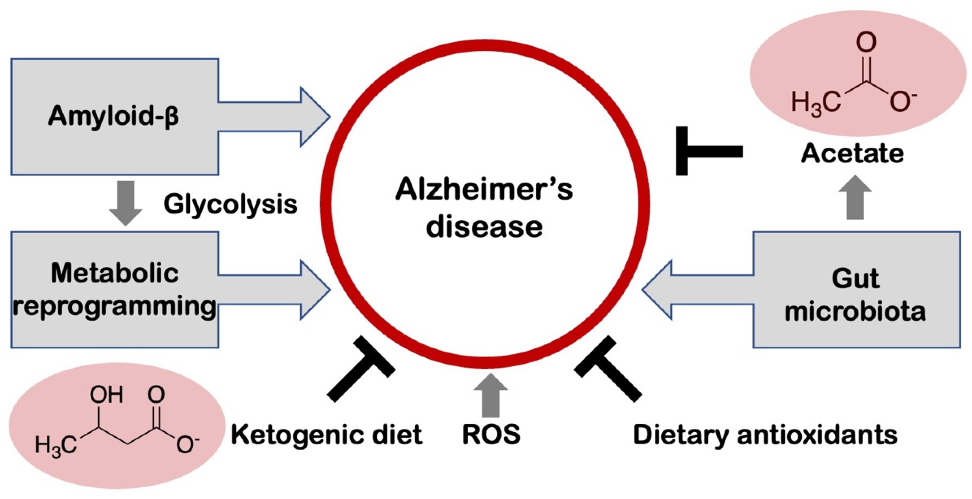 Biology 12 01081 g002