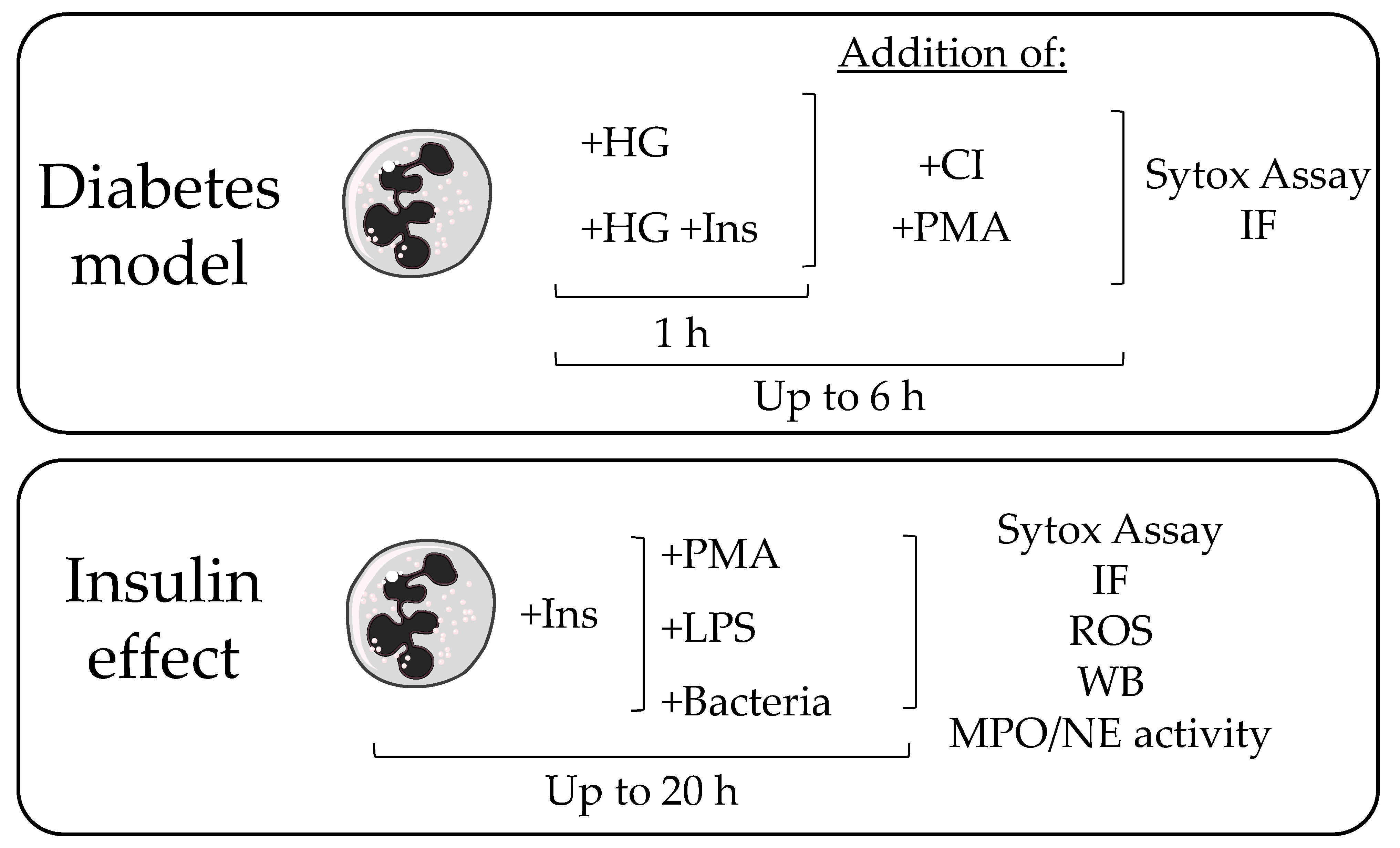 Biology 12 01082 g001