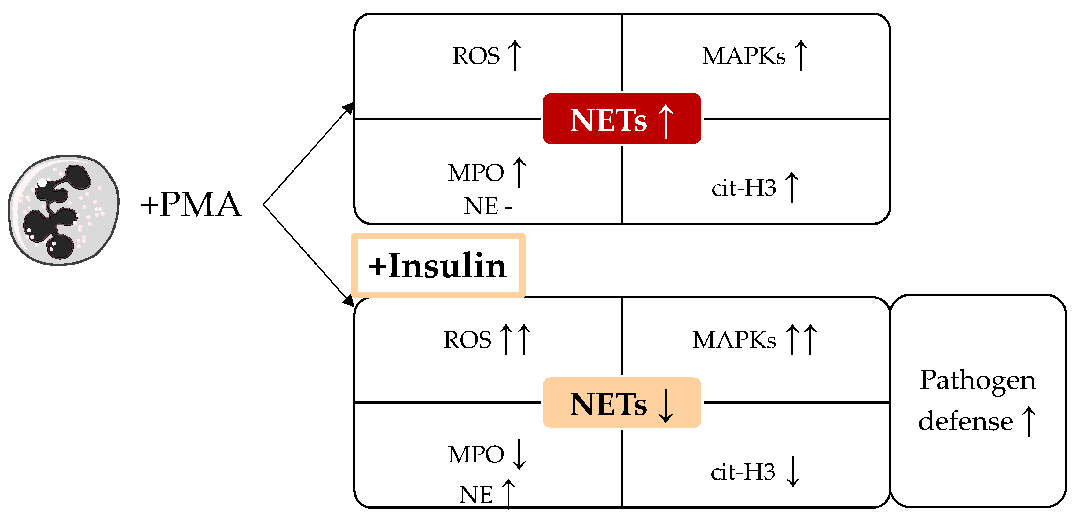 Biology 12 01082 g007
