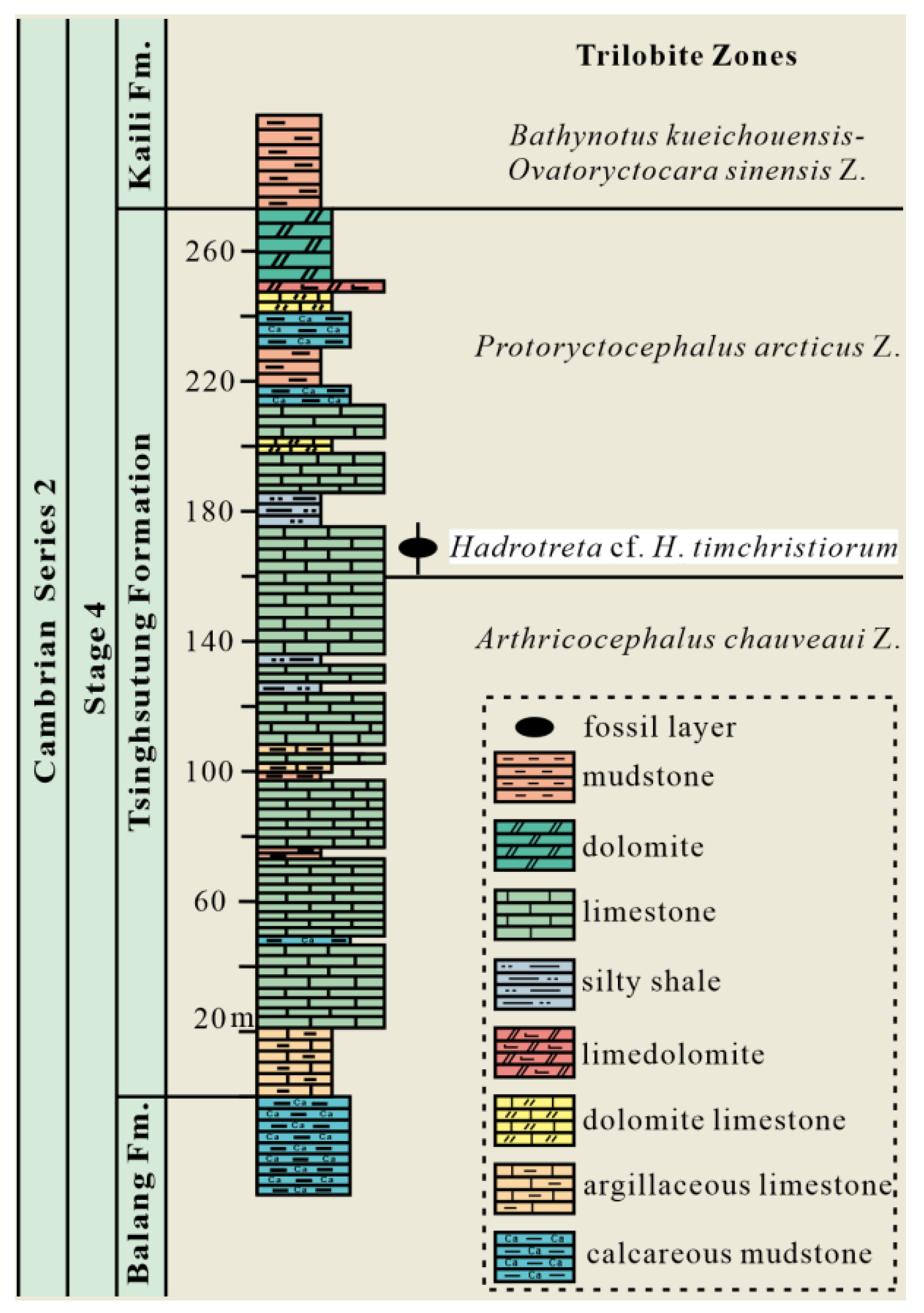 Biology 12 01083 g001 Biology 12 01083 g001