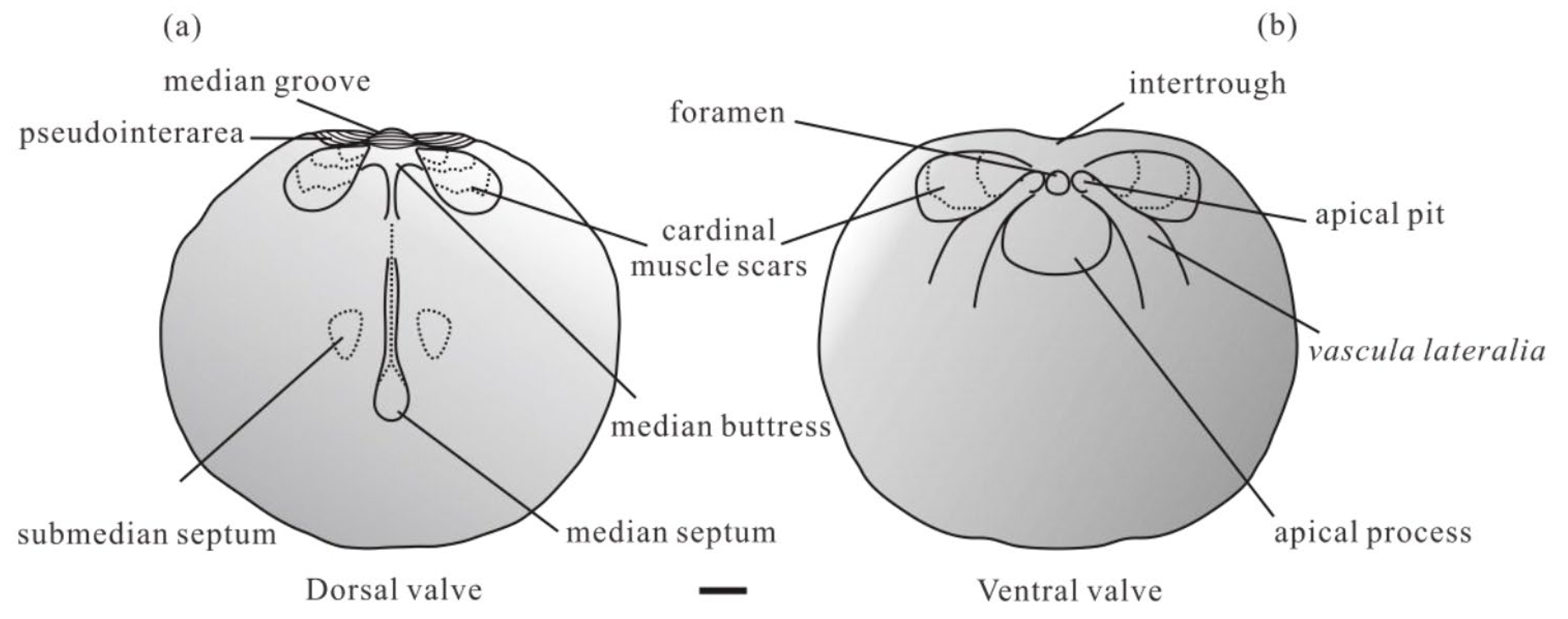 Biology 12 01083 g002 Biology 12 01083 g002