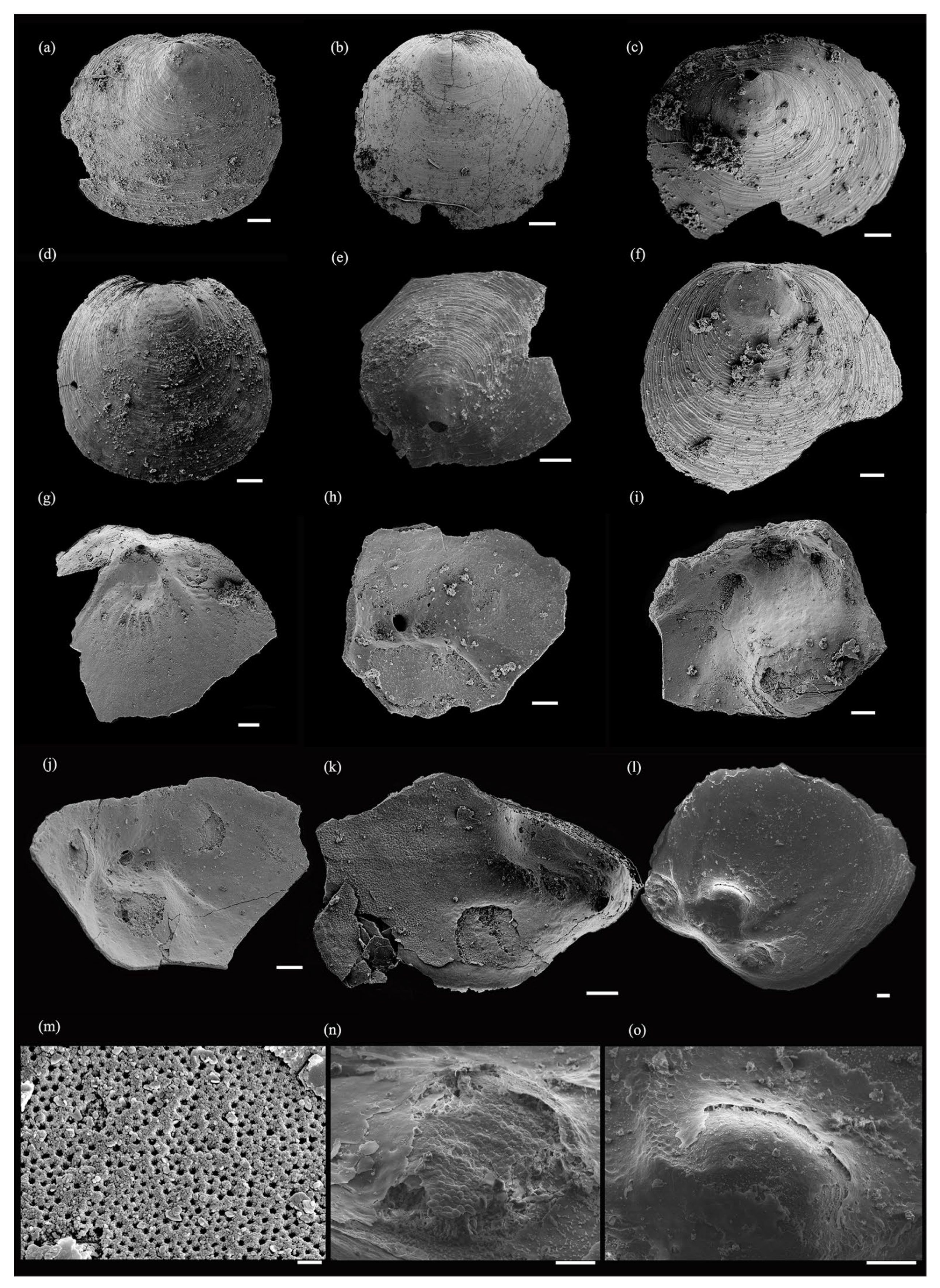 Biology 12 01083 g003 Biology 12 01083 g003