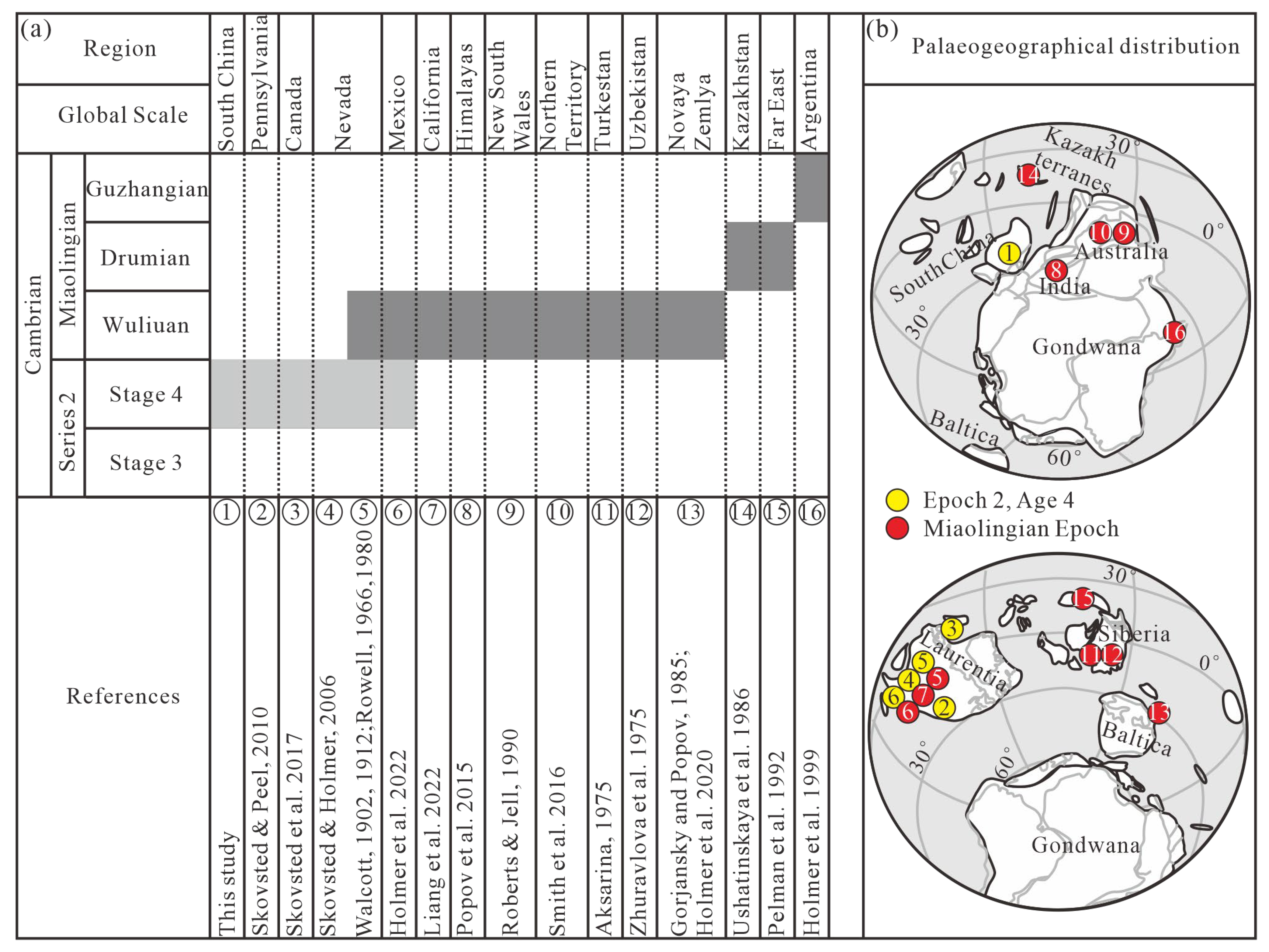 Biology 12 01083 g005 Biology 12 01083 g005