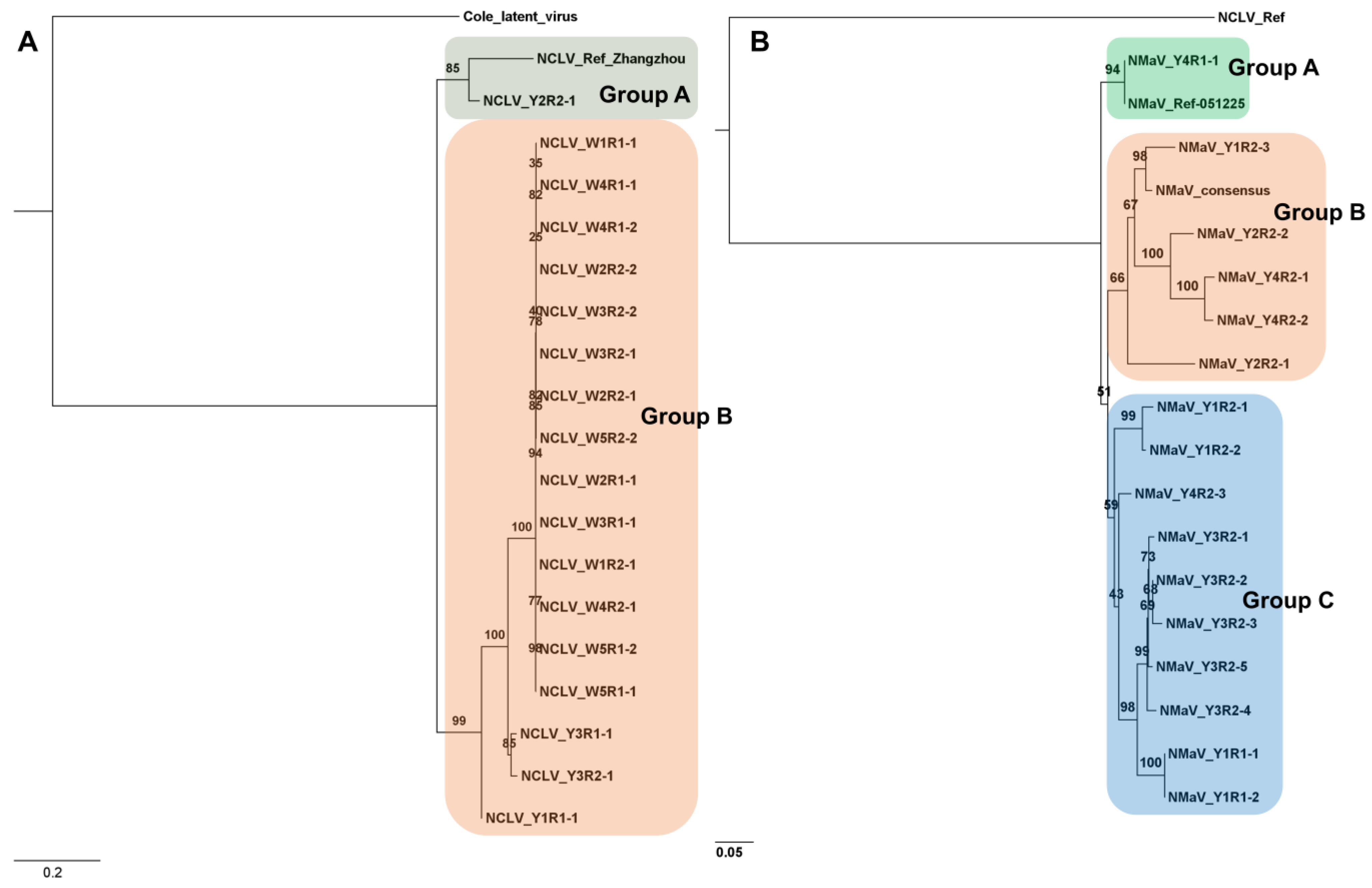 Biology 12 01094 g004