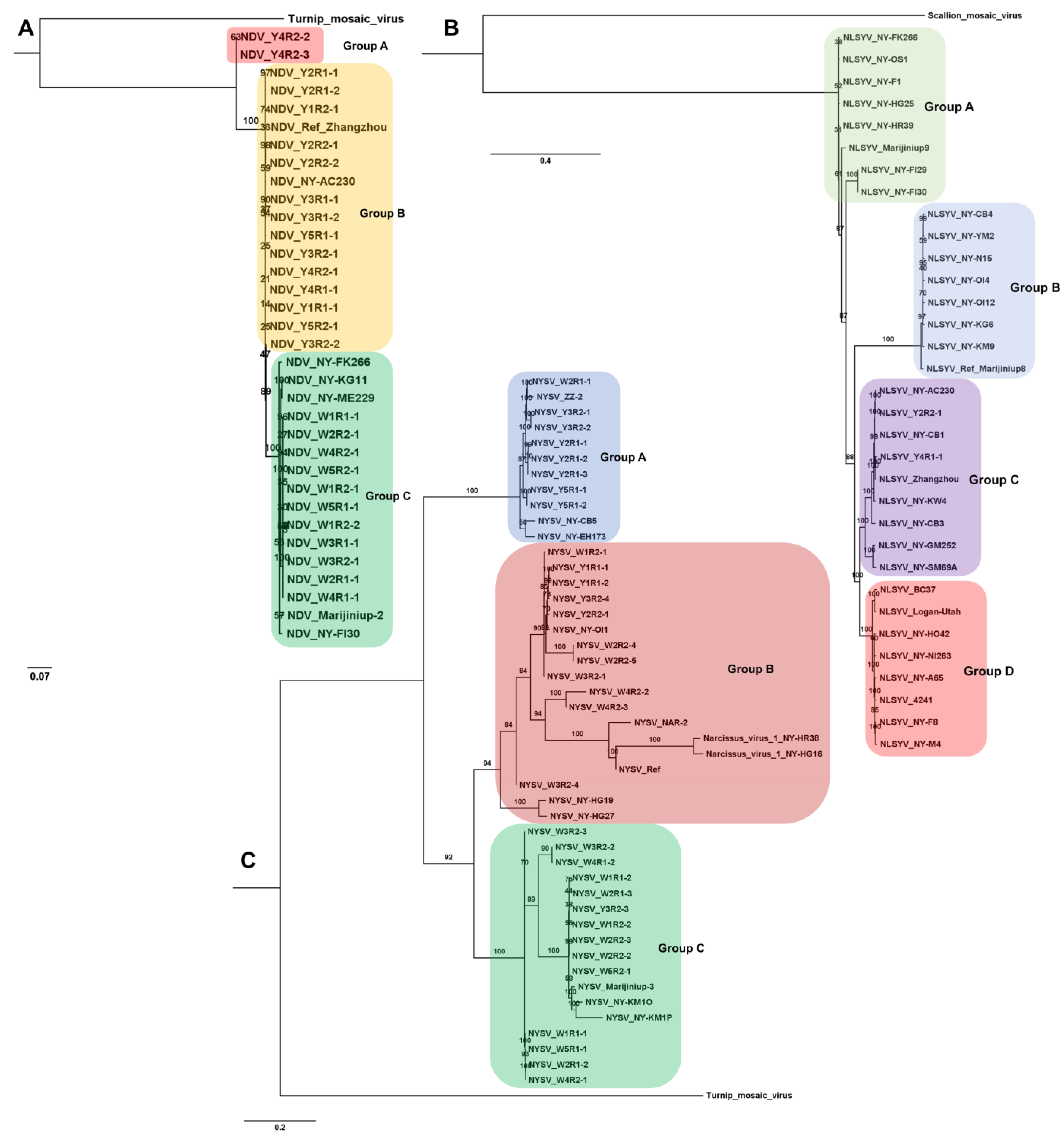 Biology 12 01094 g005