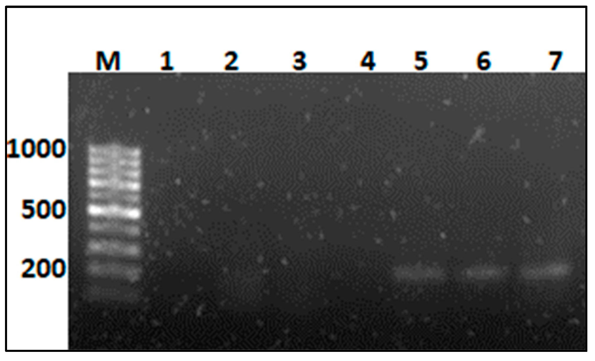 Biology 12 01098 g002